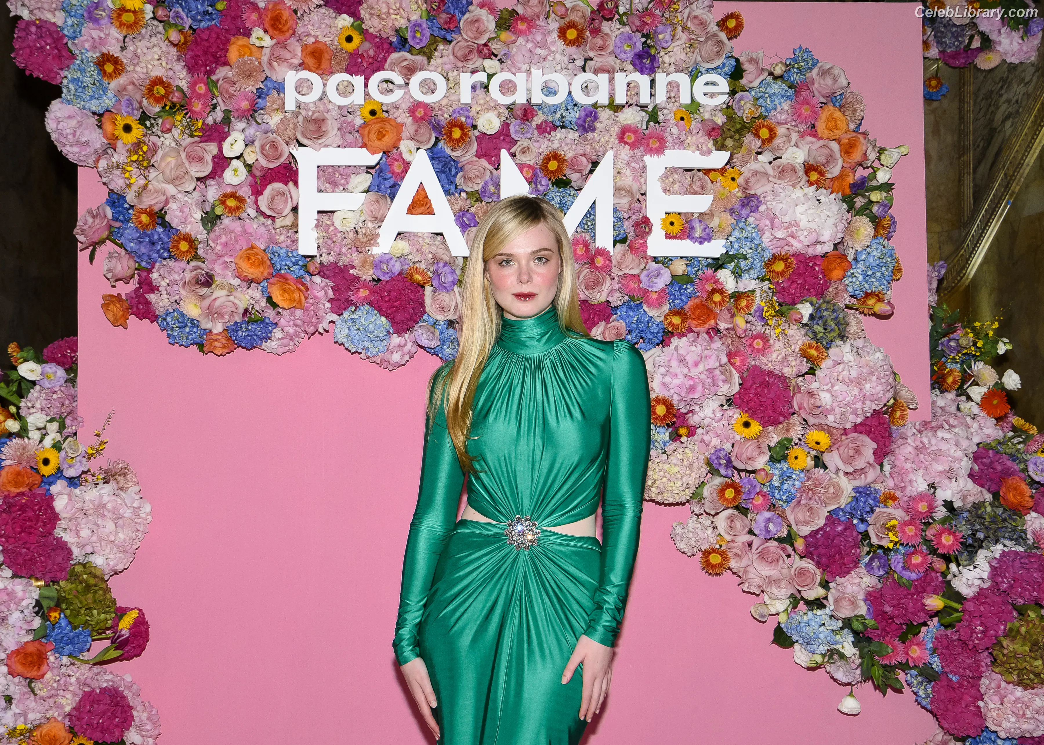Elle Fanning photo 12 of 4118