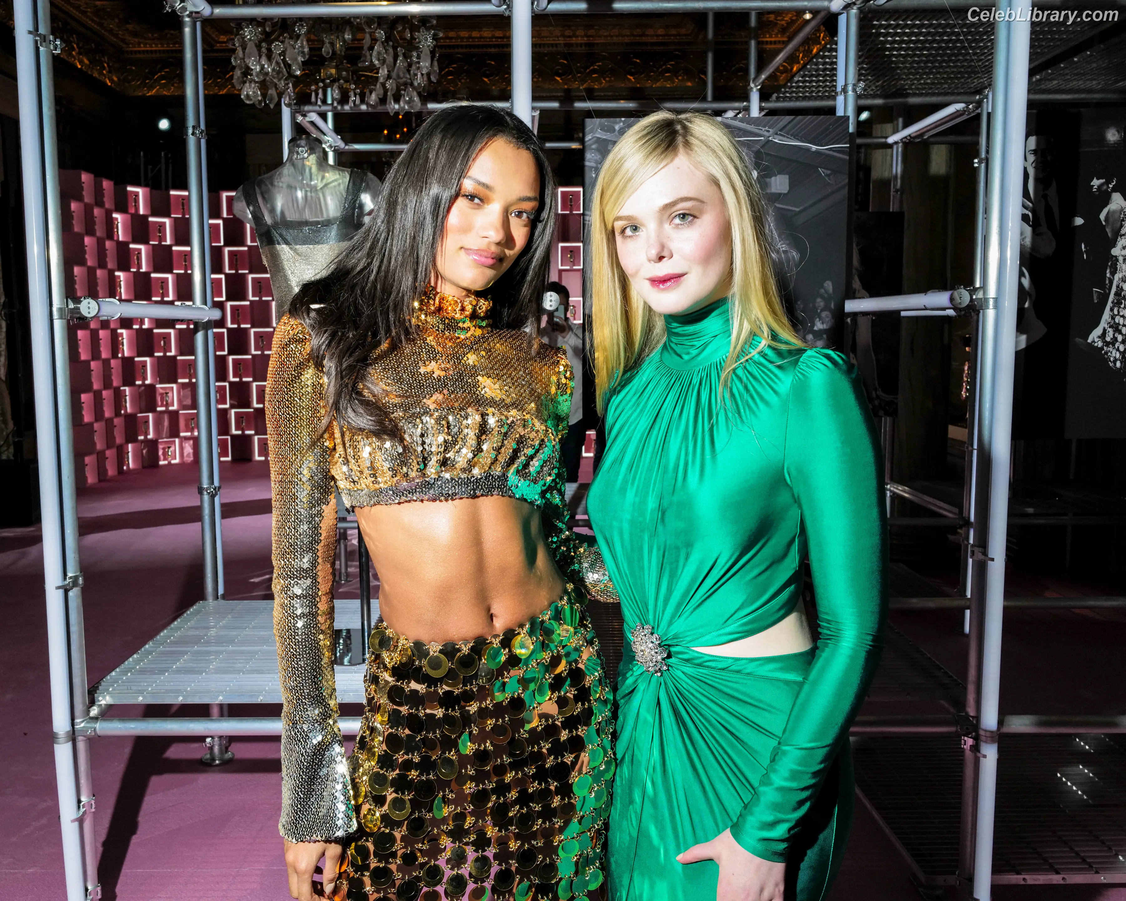 Elle Fanning photo 2 of 4118