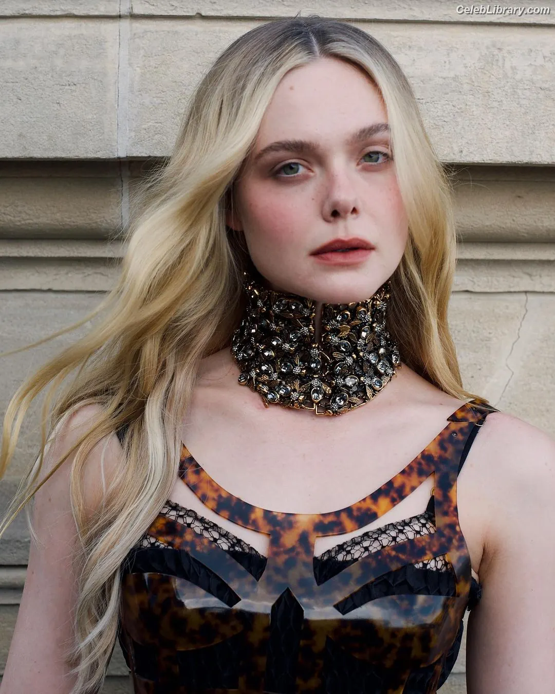 Elle Fanning photo 3 of 4118