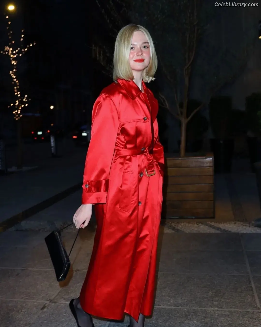 Elle Fanning photo 4 of 4118