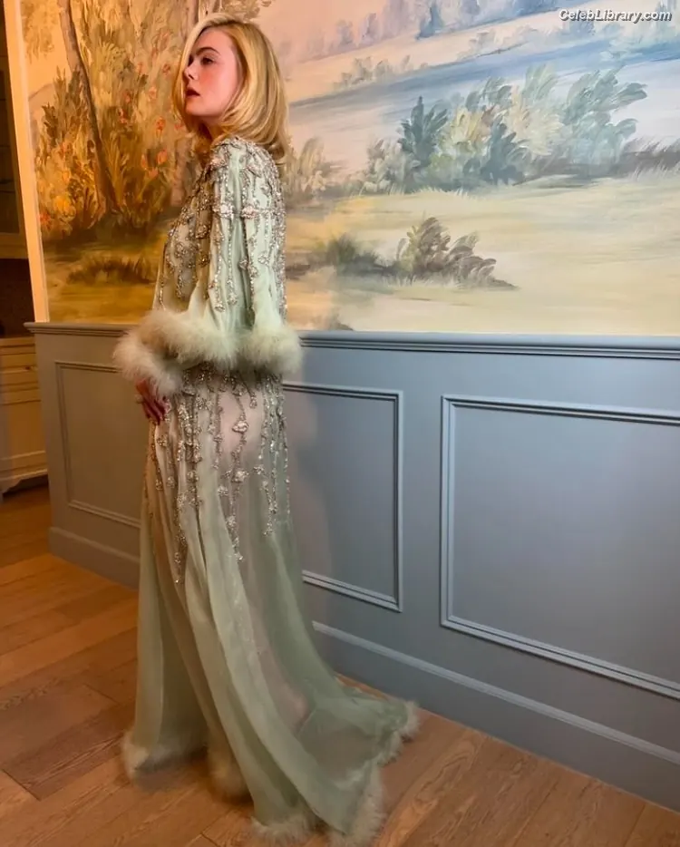 Elle Fanning photo 22 of 4118