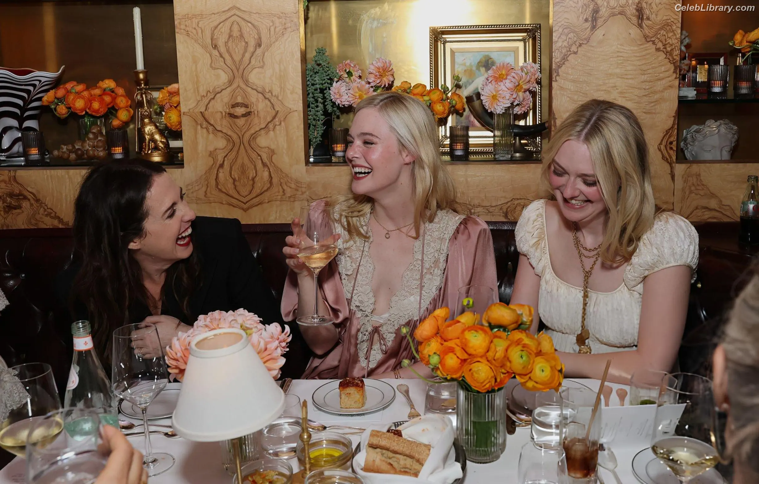 Elle Fanning photo 10 of 4118