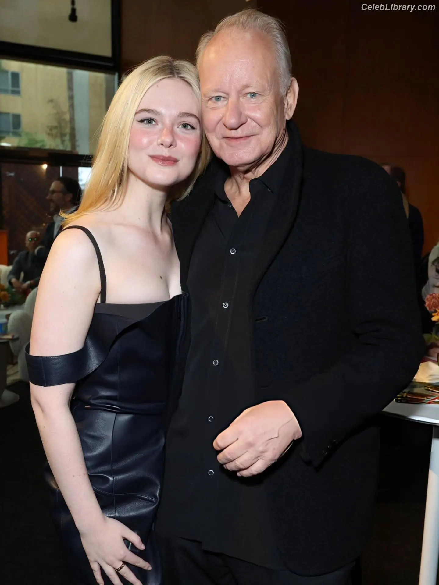 Elle Fanning photo 11 of 4118
