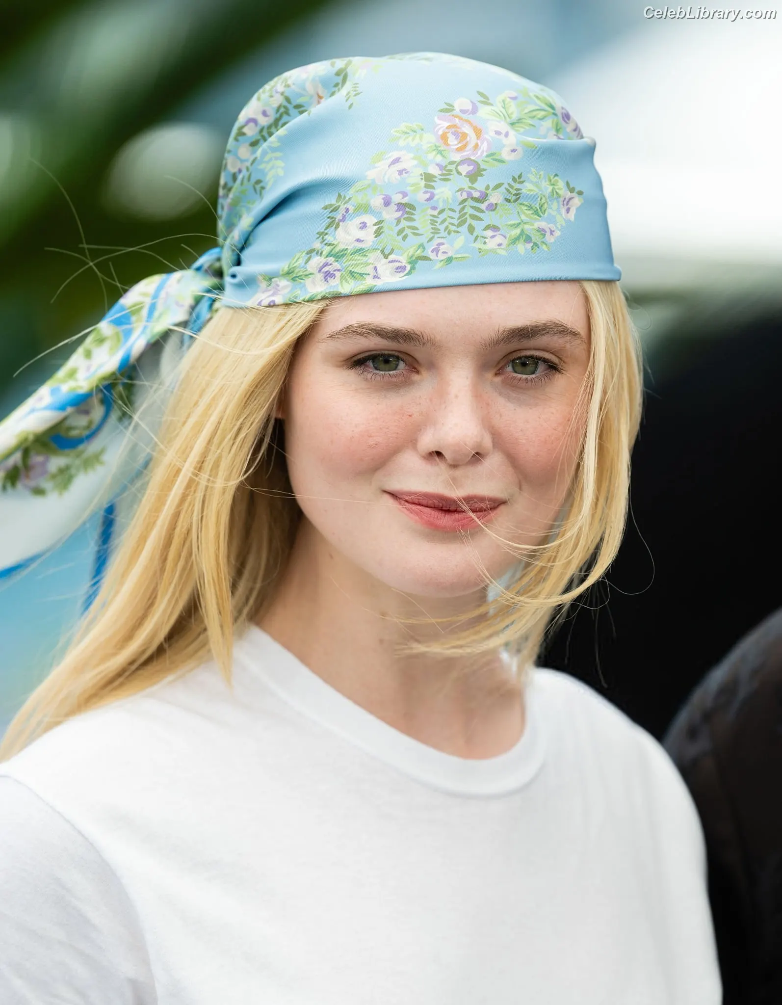 Elle Fanning photo 12 of 4118