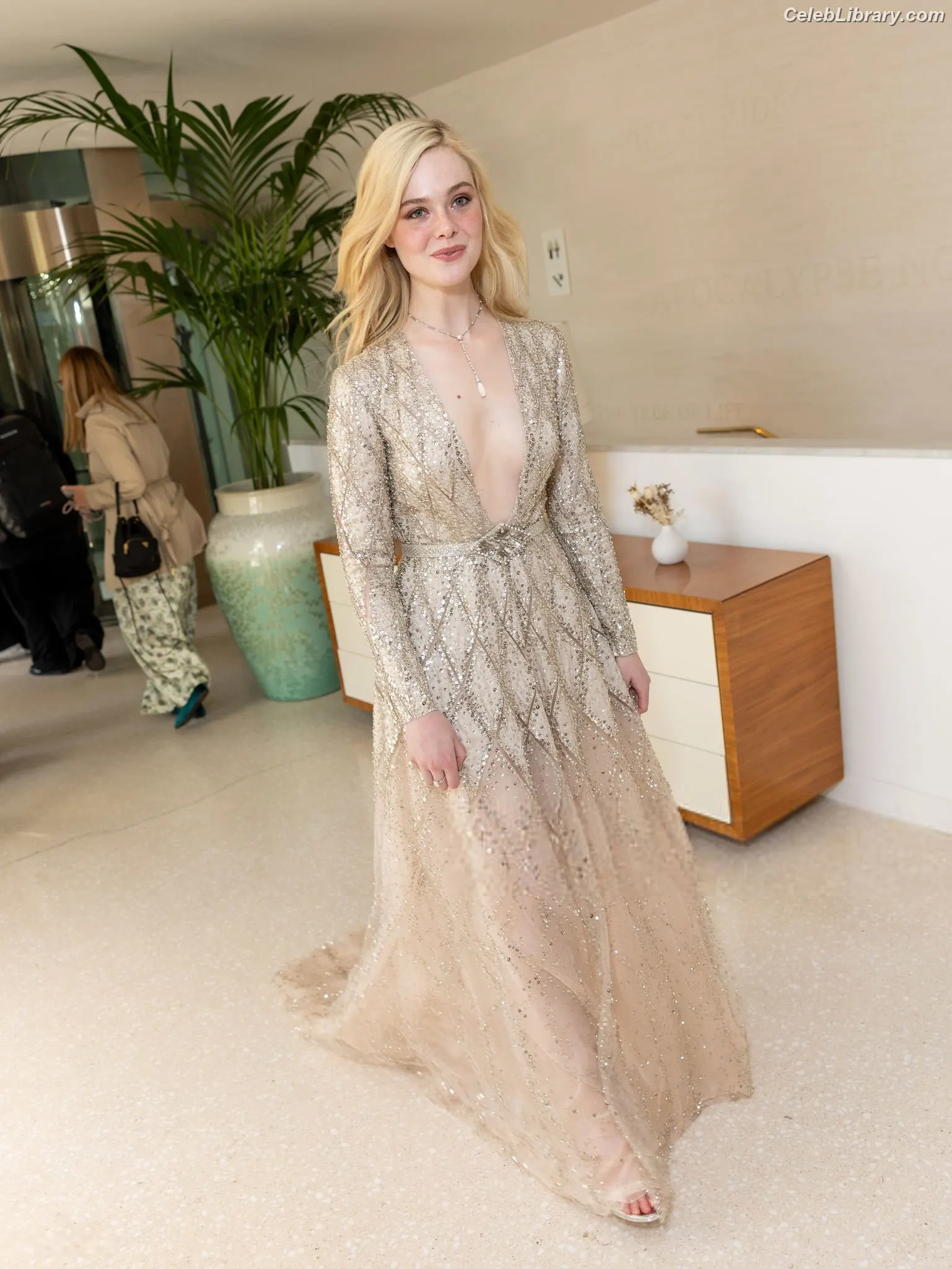 Elle Fanning photo 19 of 4118