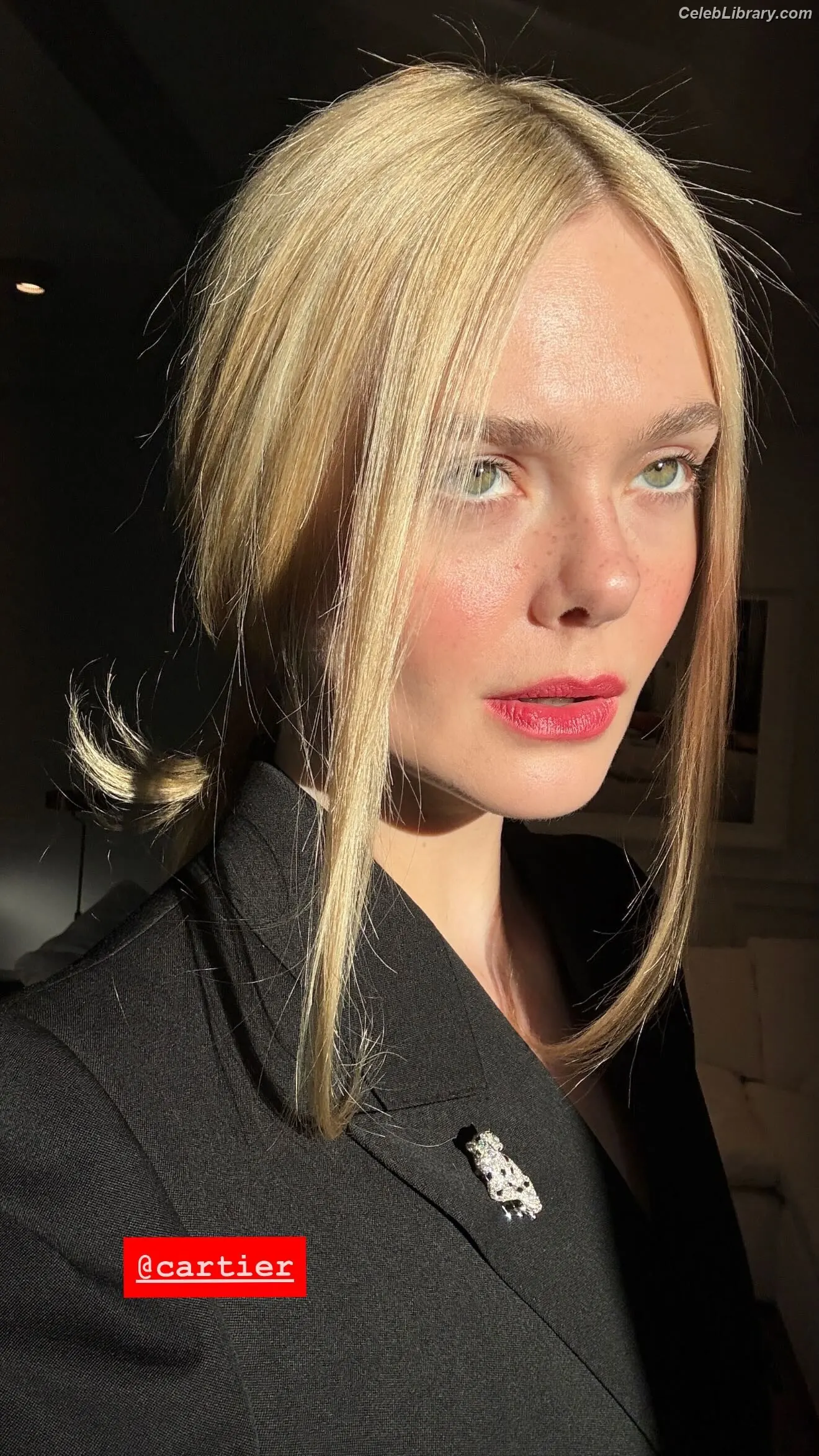 Elle Fanning photo 22 of 4118