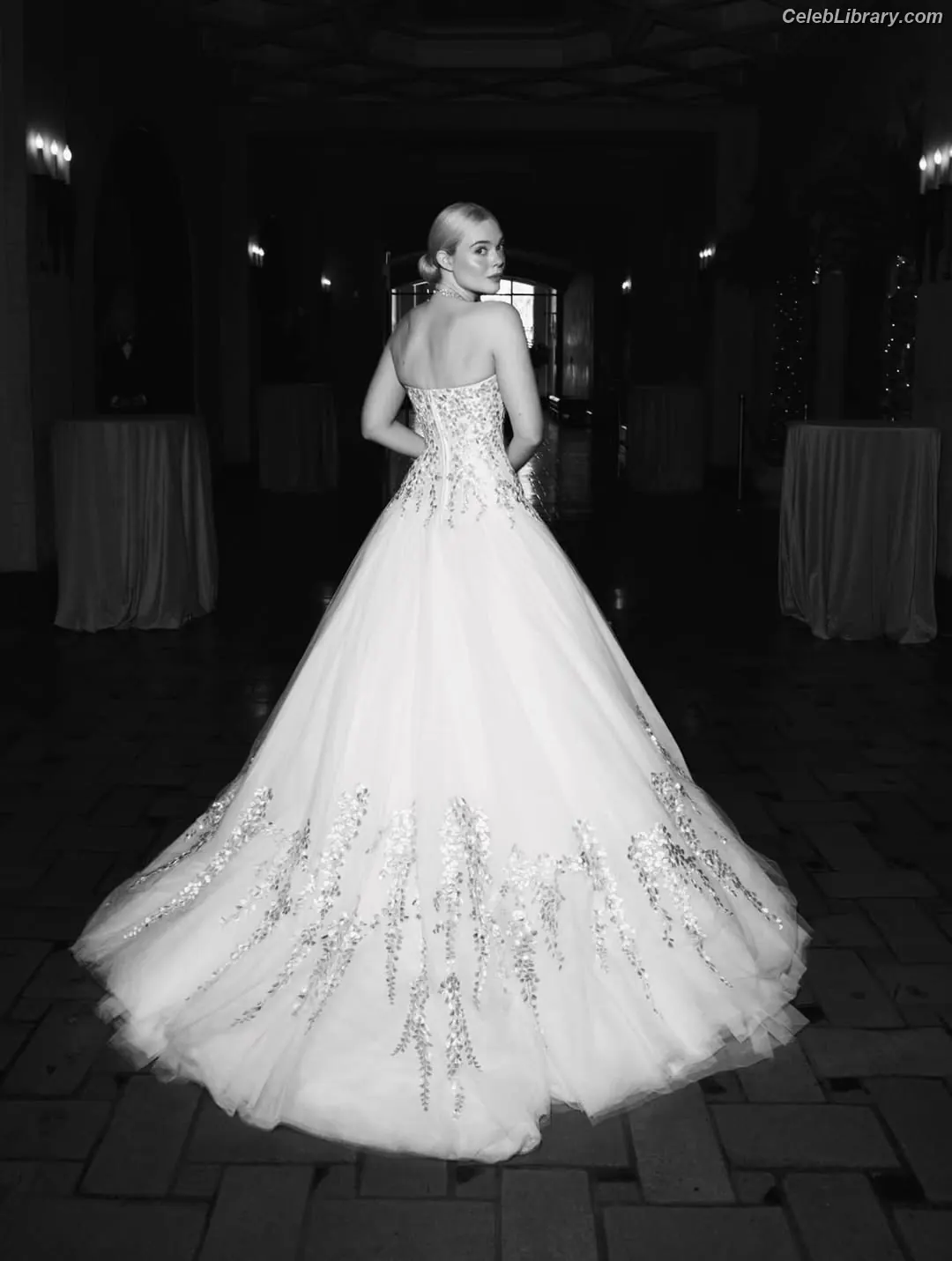 Elle Fanning photo 24 of 4118