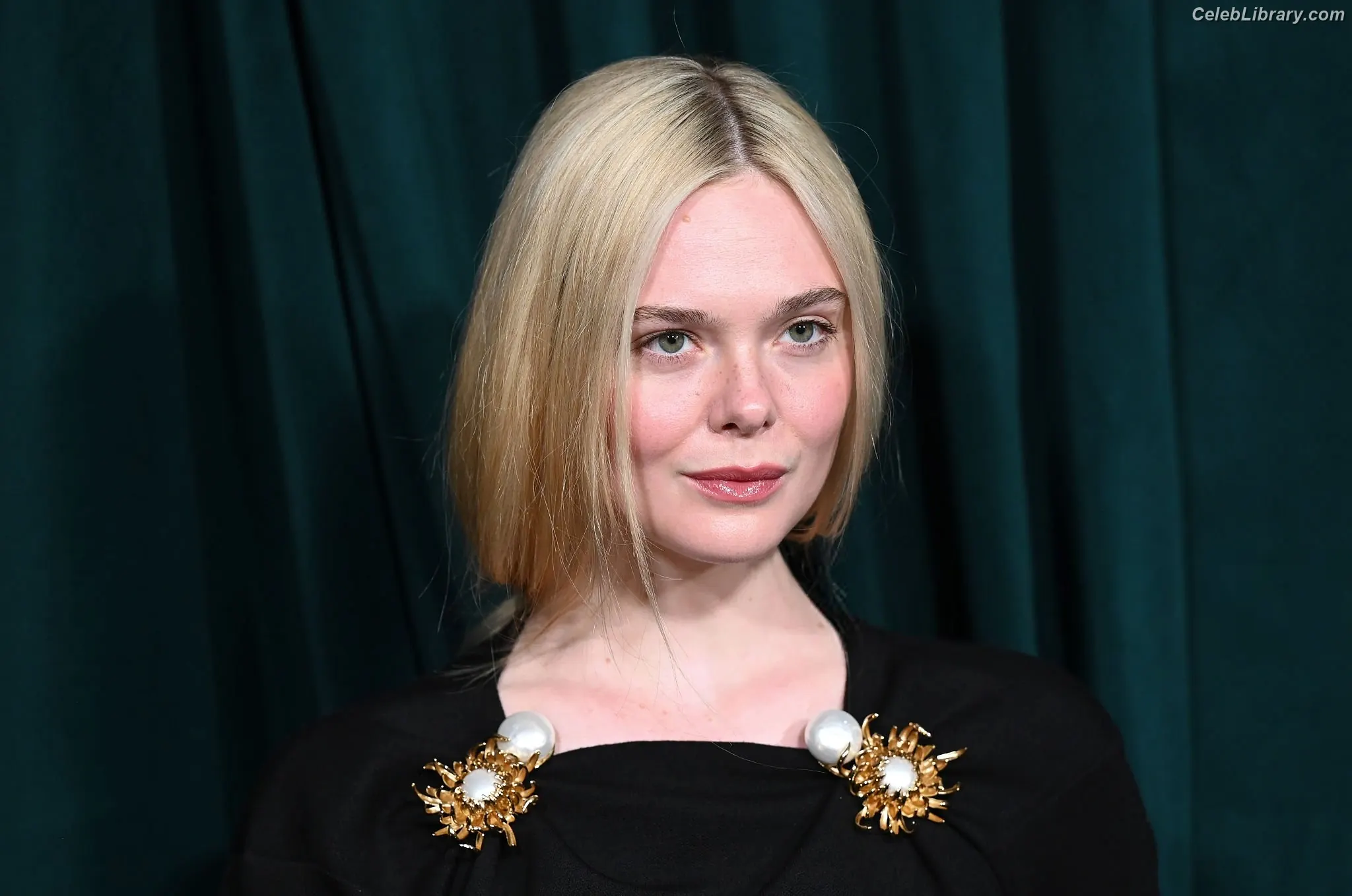Elle Fanning photo 23 of 4118