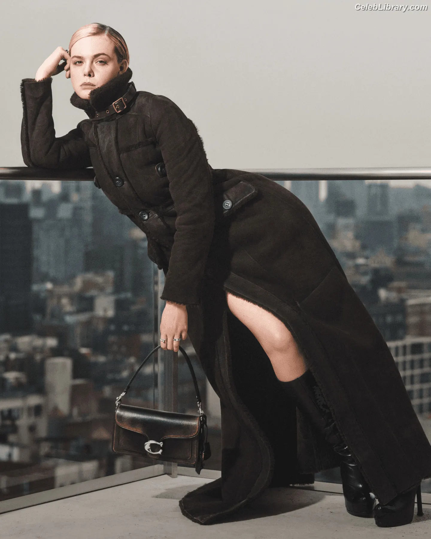 Elle Fanning photo 7 of 4118