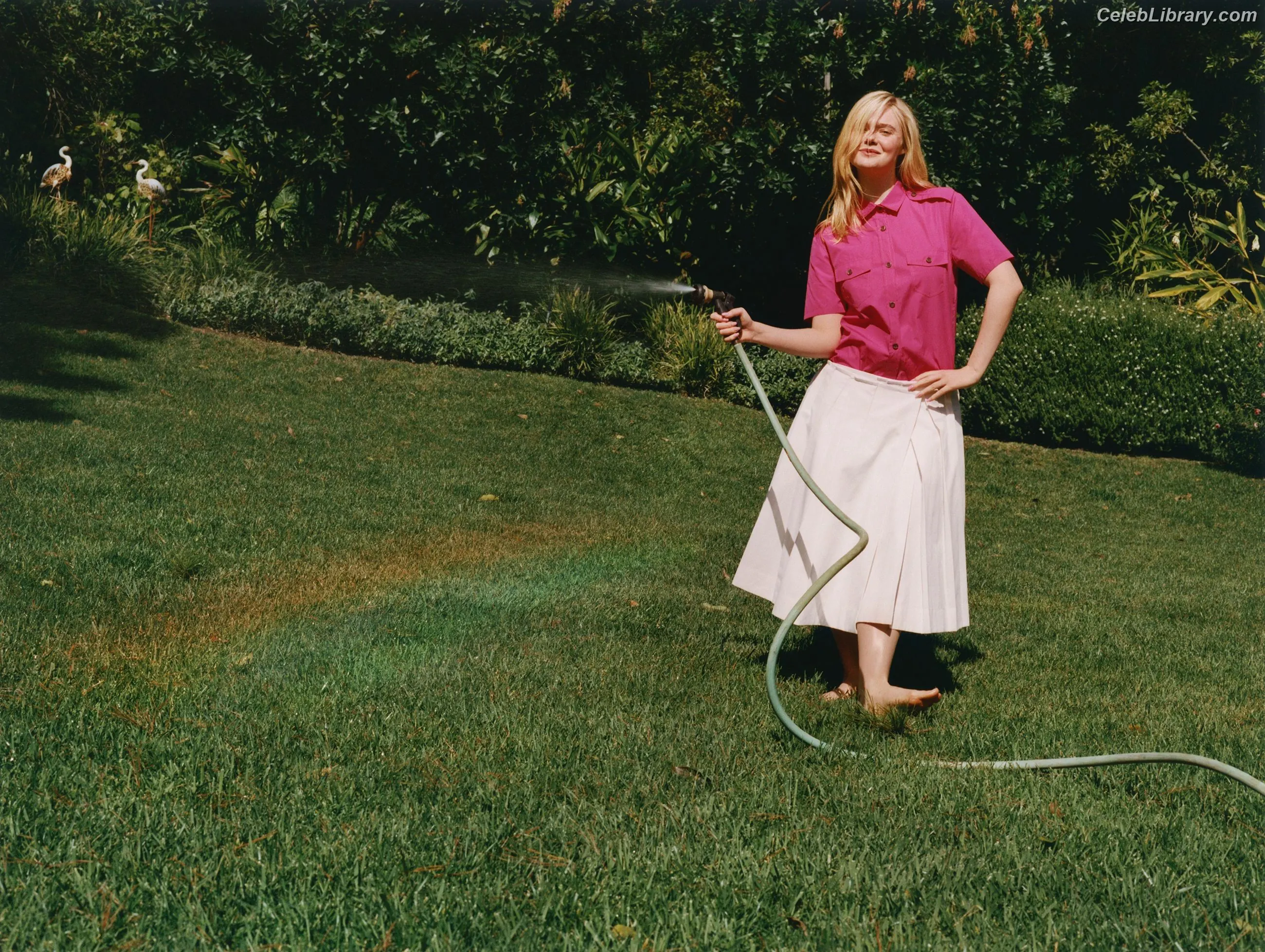 Elle Fanning photo 16 of 4118