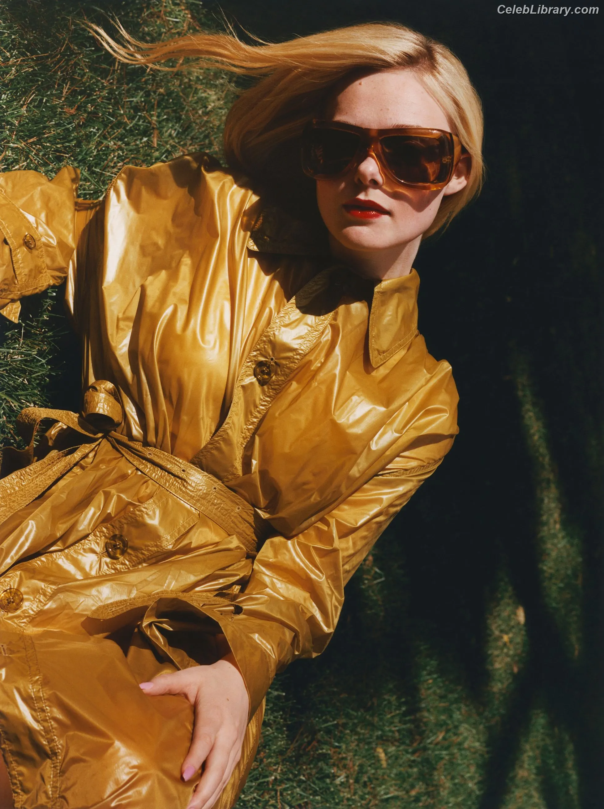 Elle Fanning photo 17 of 4118