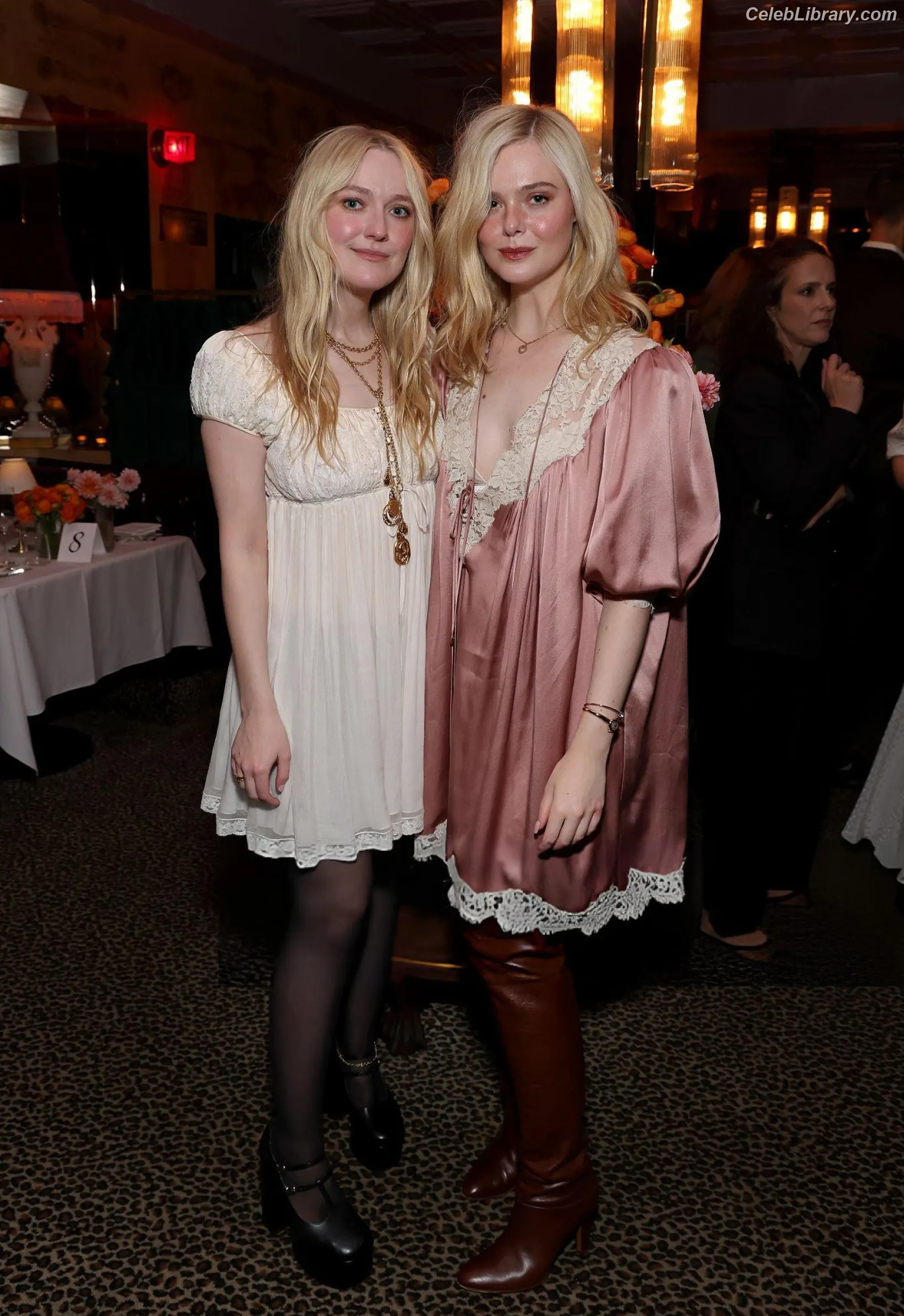 Elle Fanning photo 13 of 4118