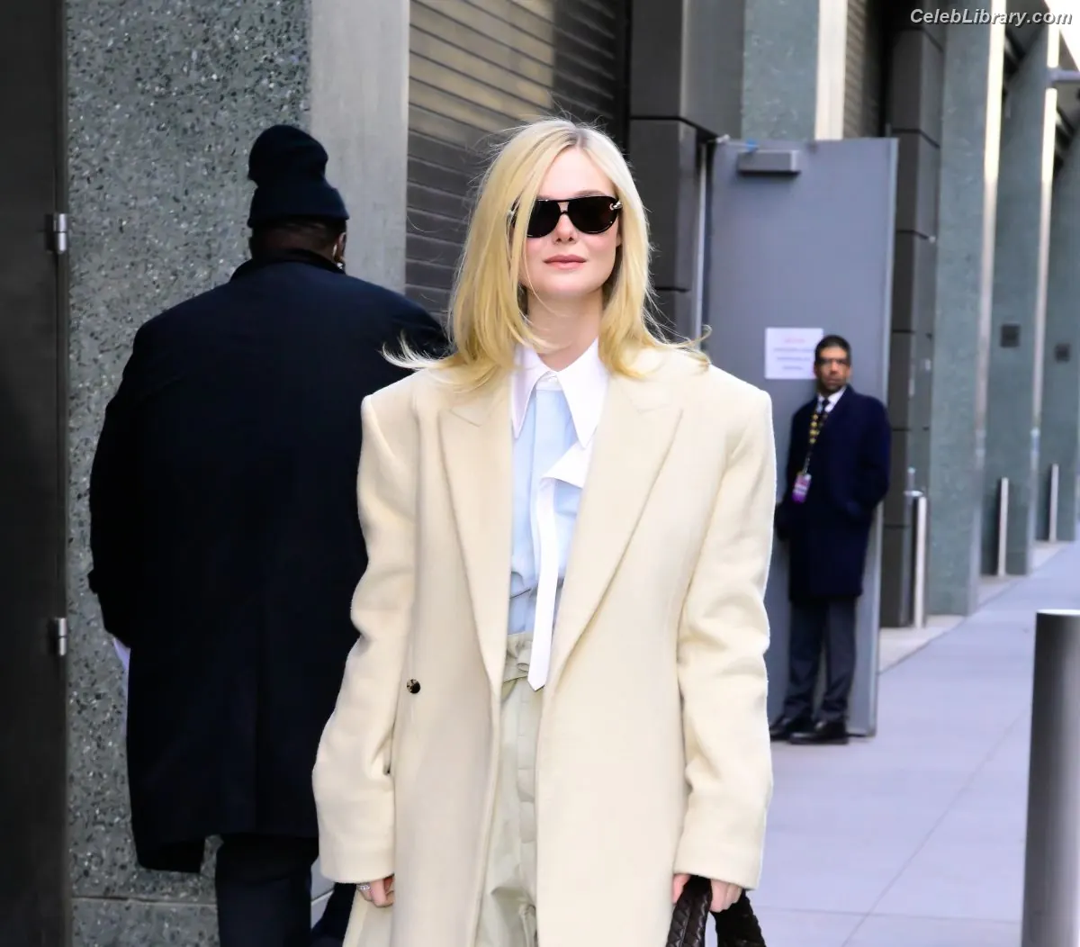 Elle Fanning photo 17 of 4118