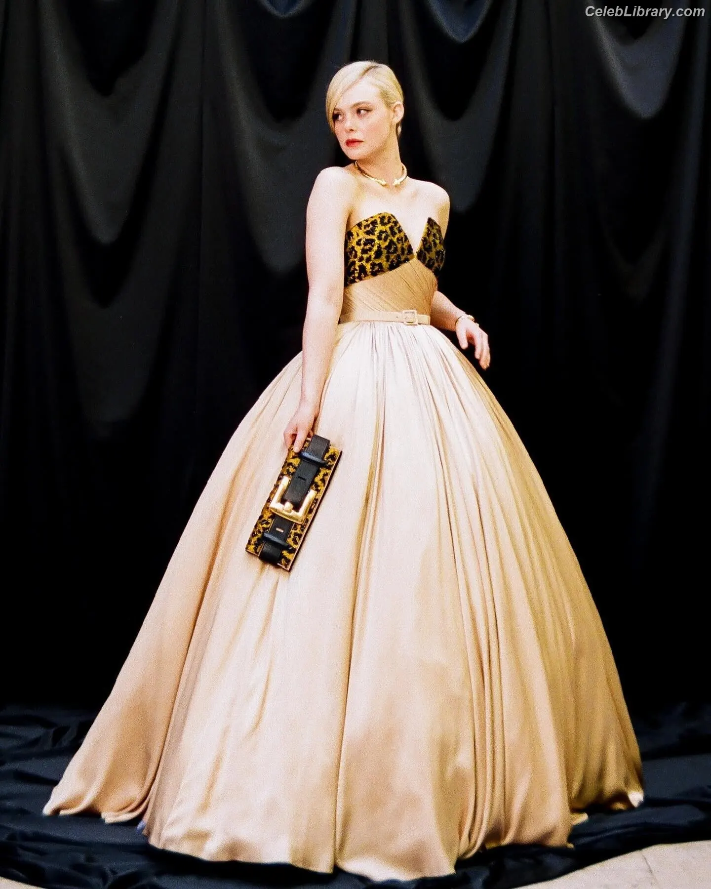 Elle Fanning photo 22 of 4118