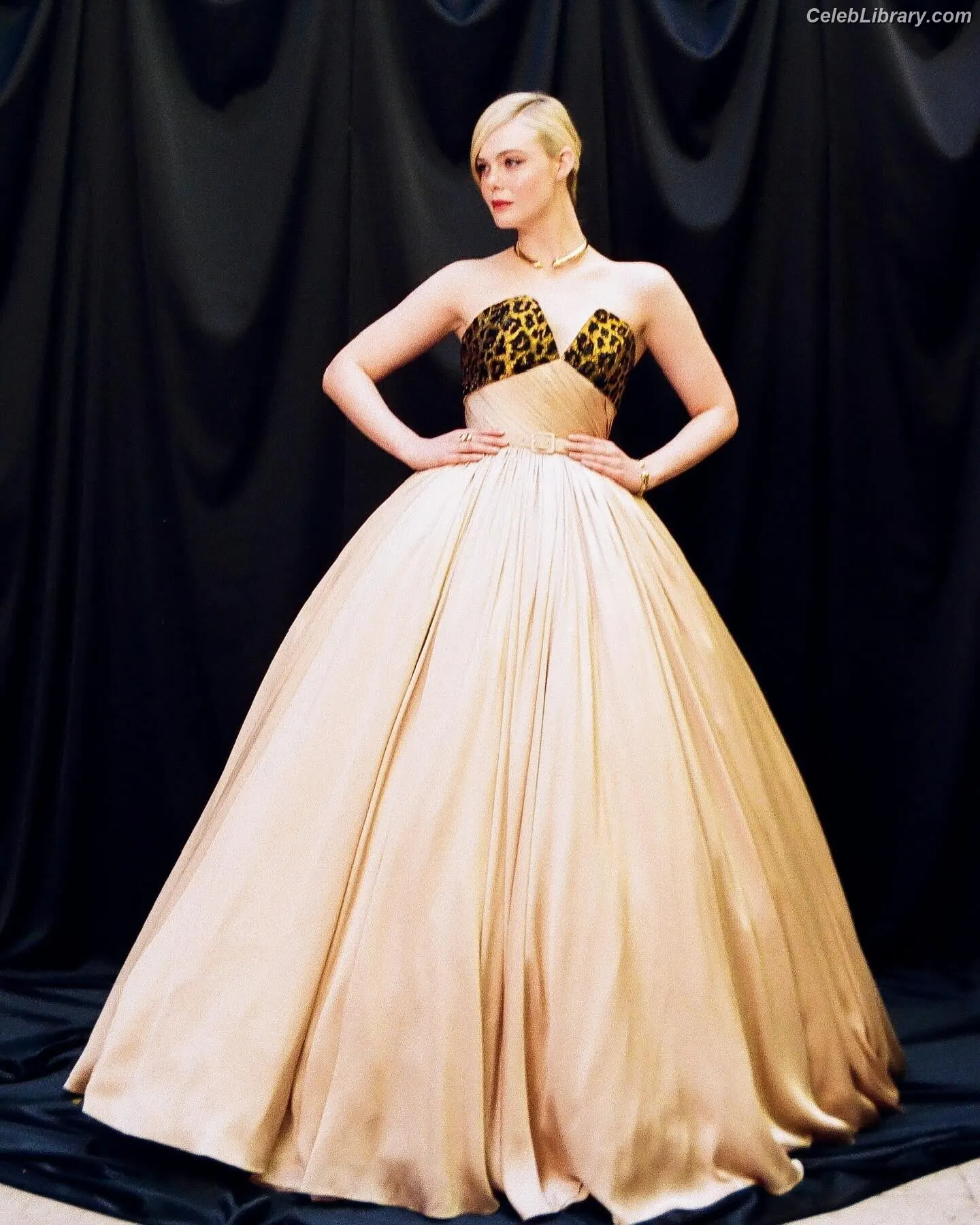 Elle Fanning photo 23 of 4118