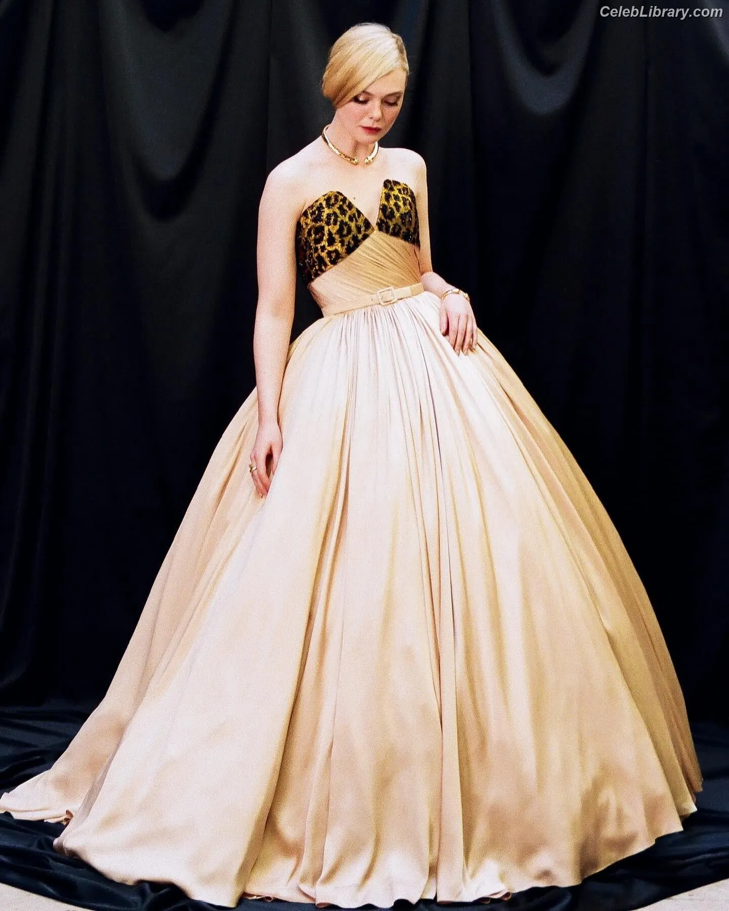 Elle Fanning photo 24 of 4118