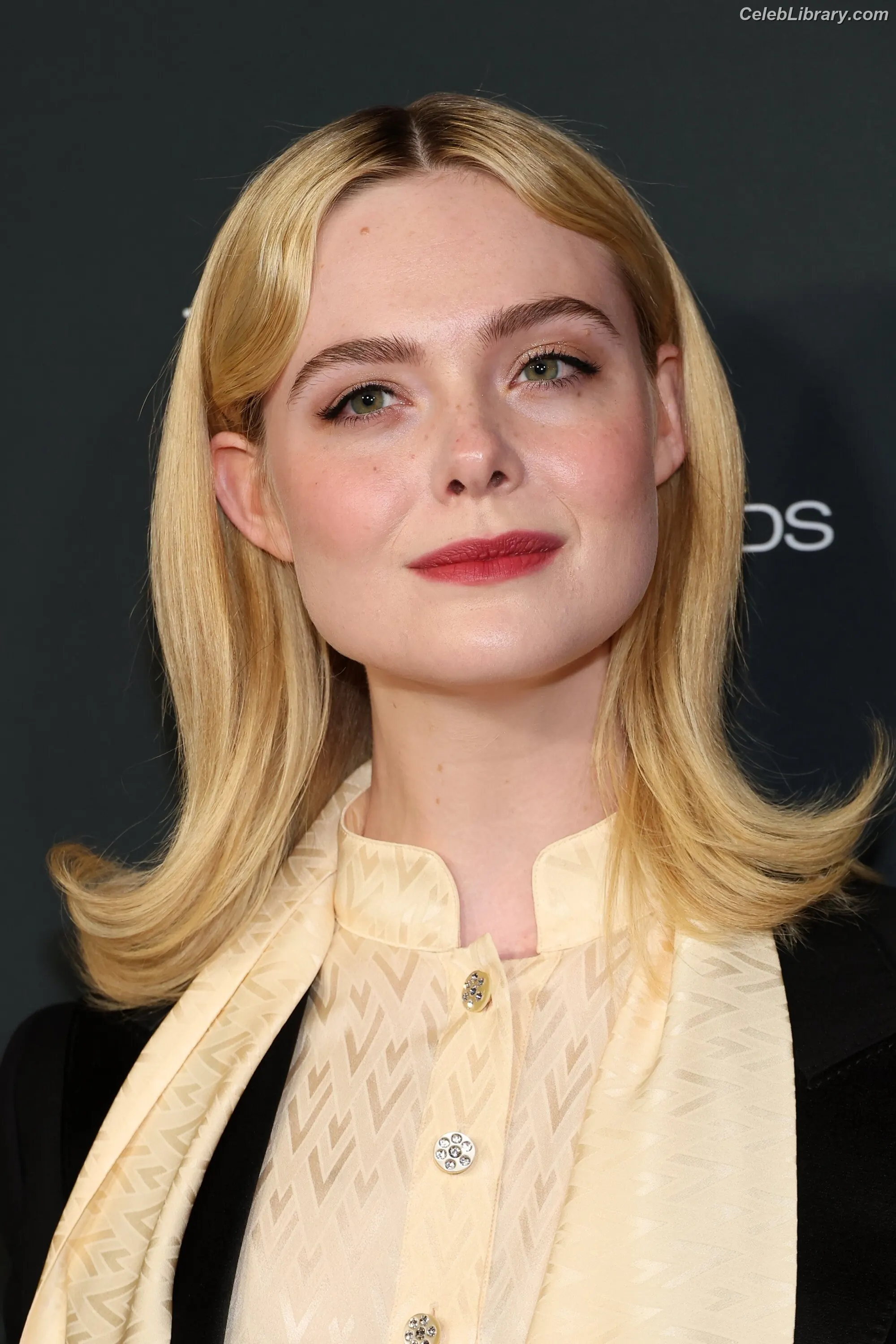 Elle Fanning photo 15 of 4118