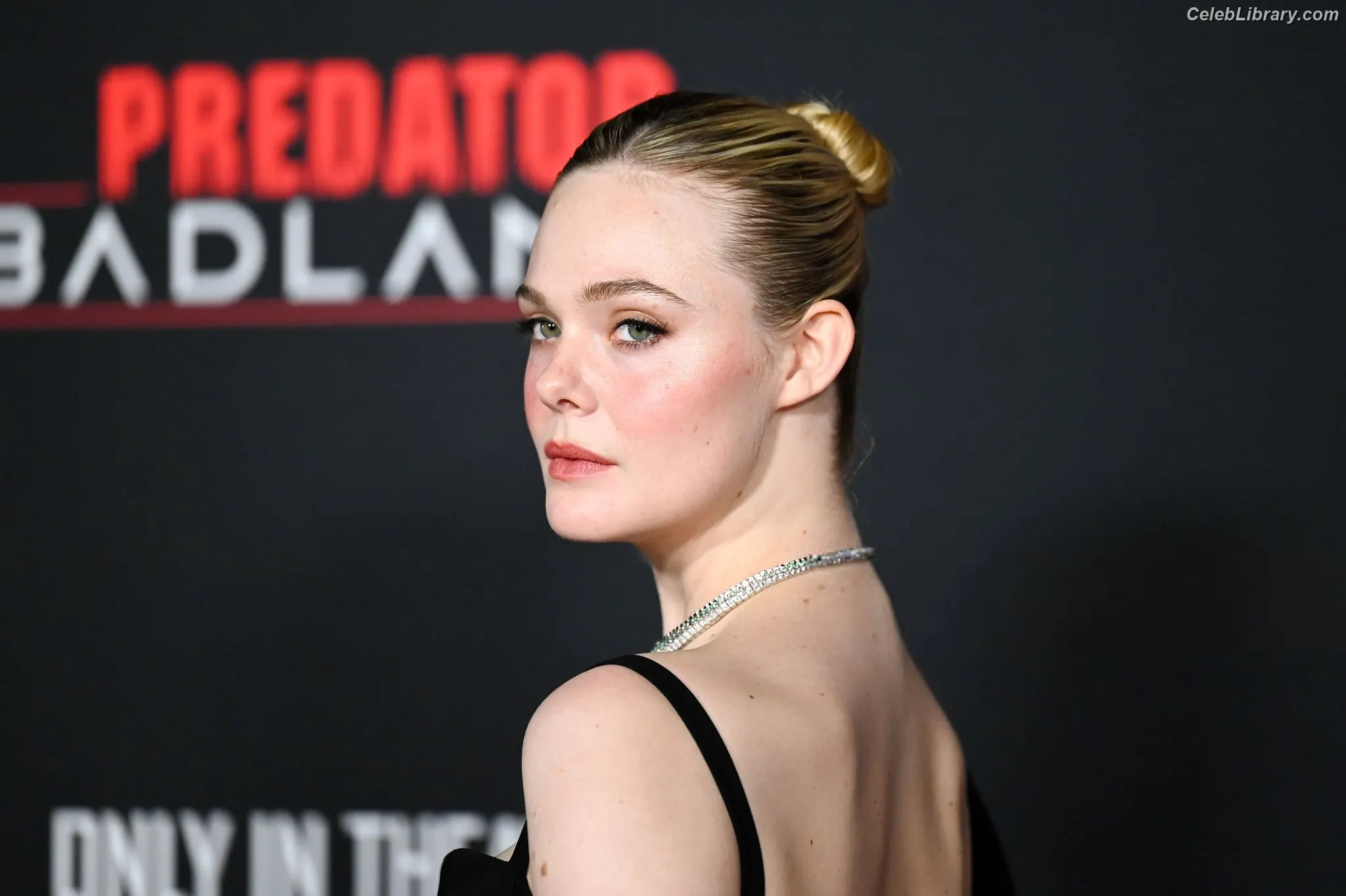 Elle Fanning photo 2 of 4118