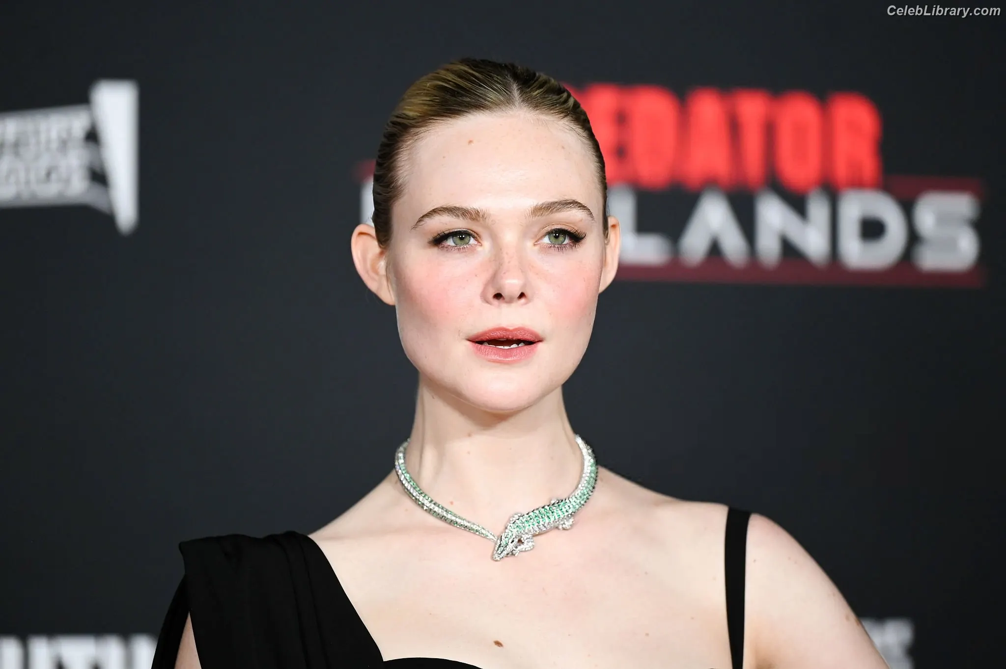 Elle Fanning photo 11 of 4118