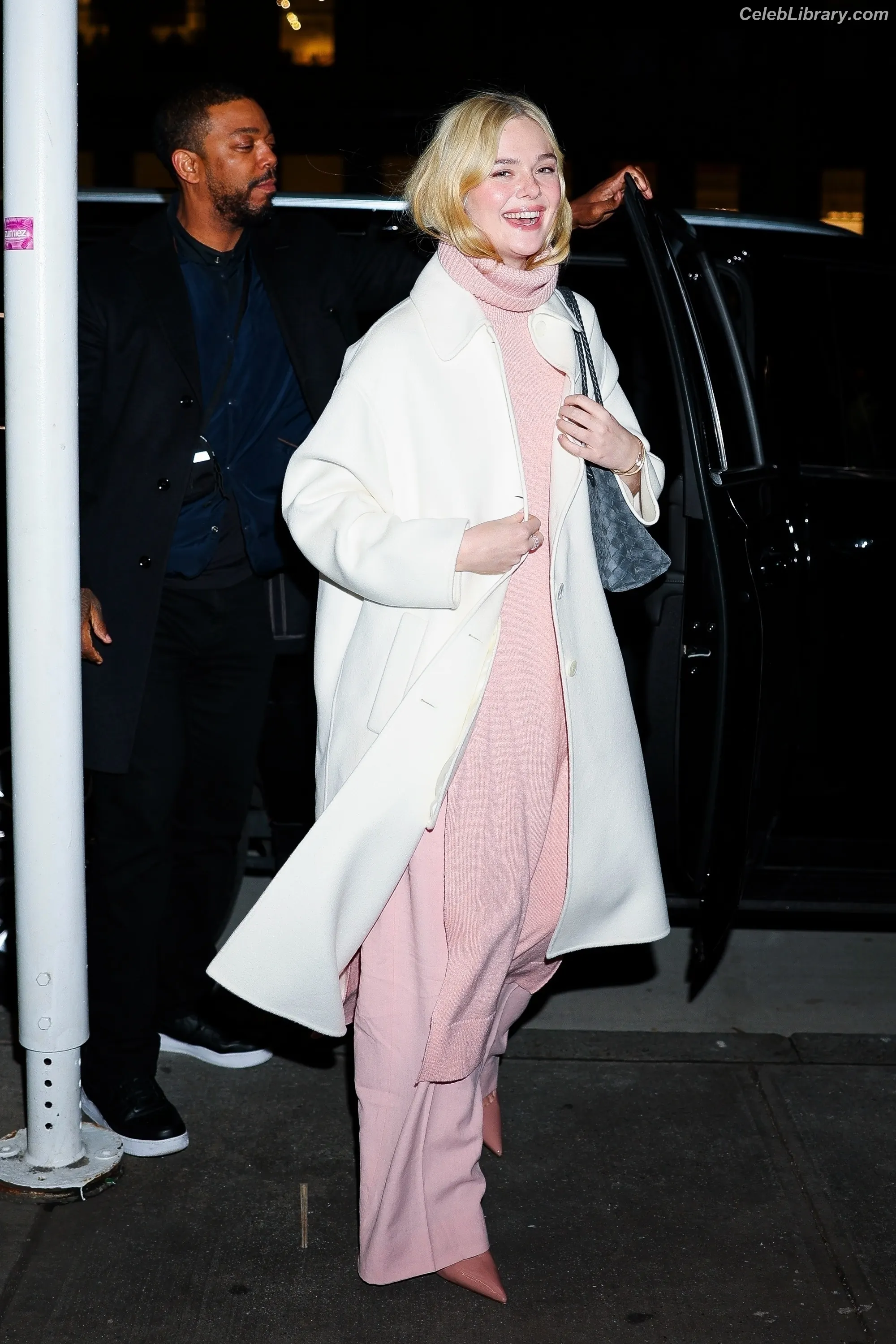 Elle Fanning photo 1 of 4118