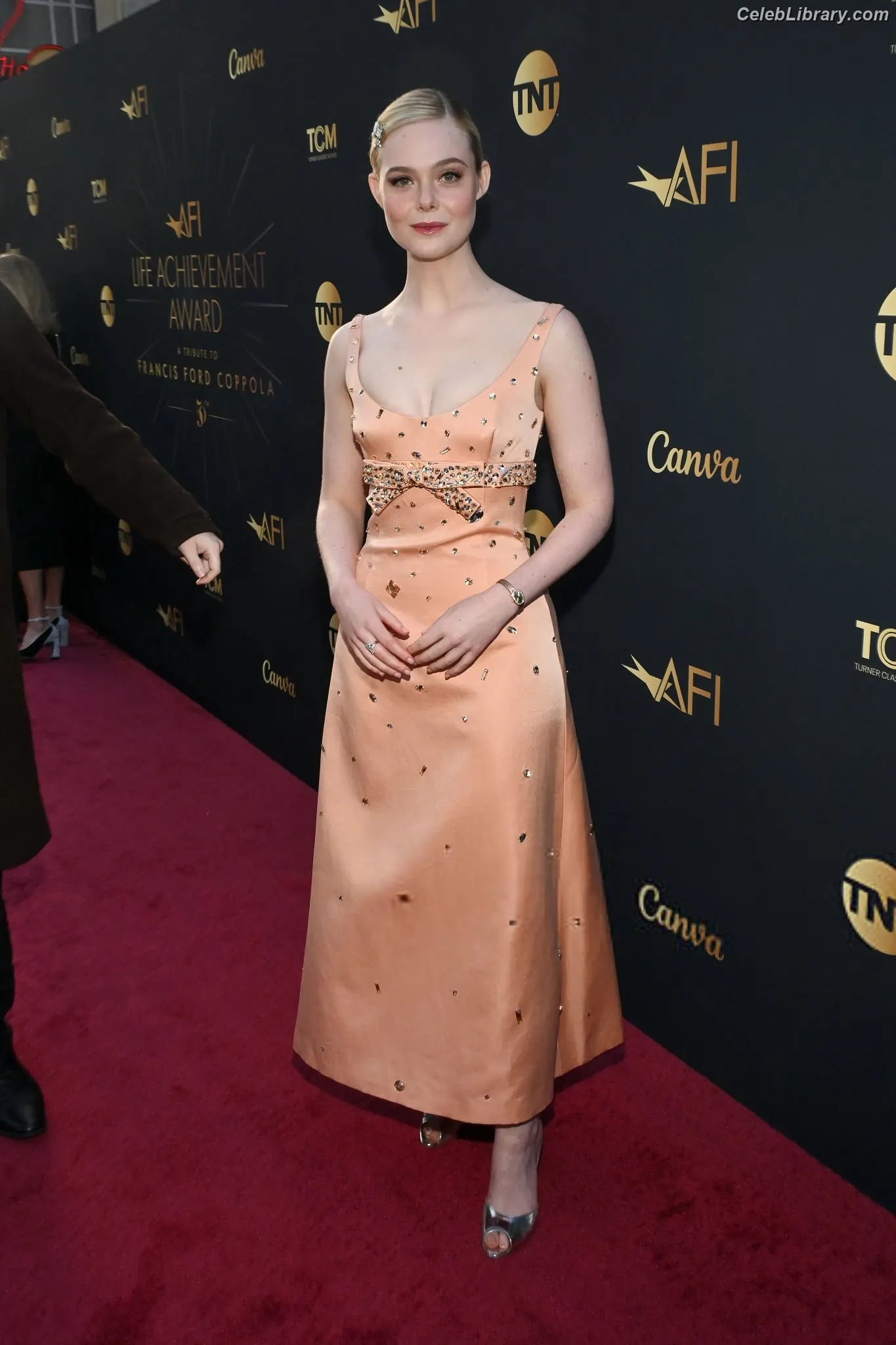 Elle Fanning photo 8 of 4118
