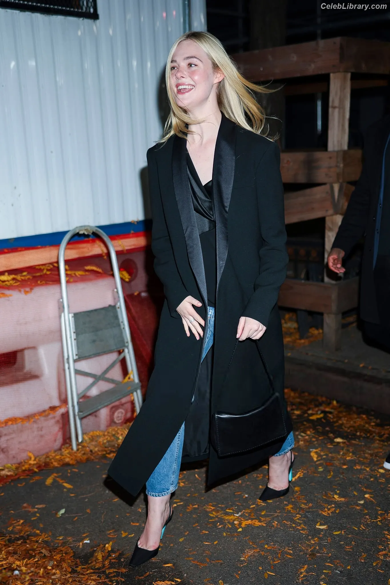 Elle Fanning photo 24 of 4118