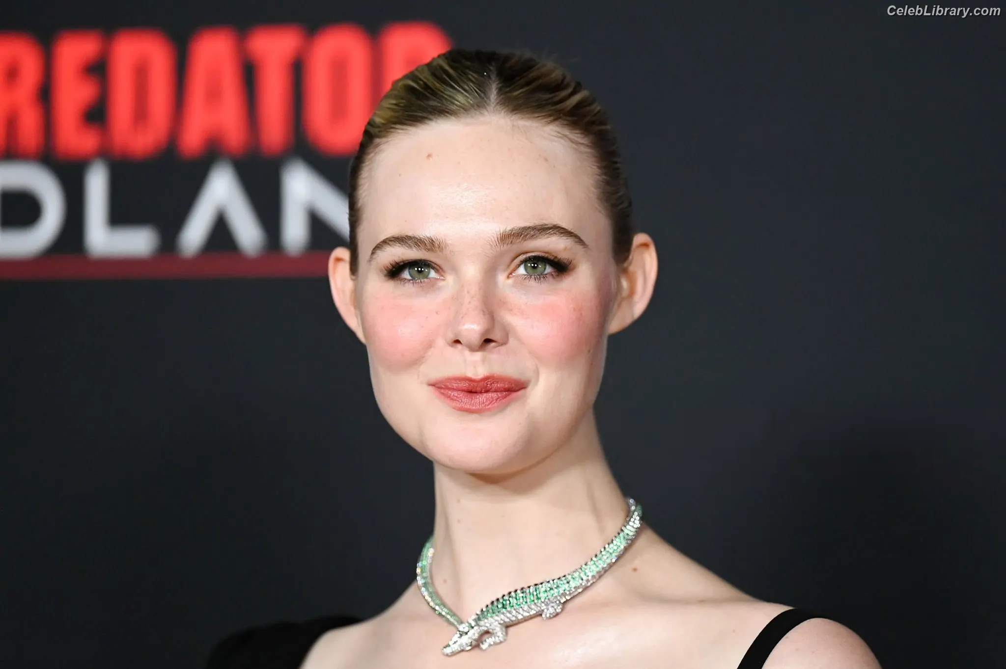 Elle Fanning photo 11 of 4118