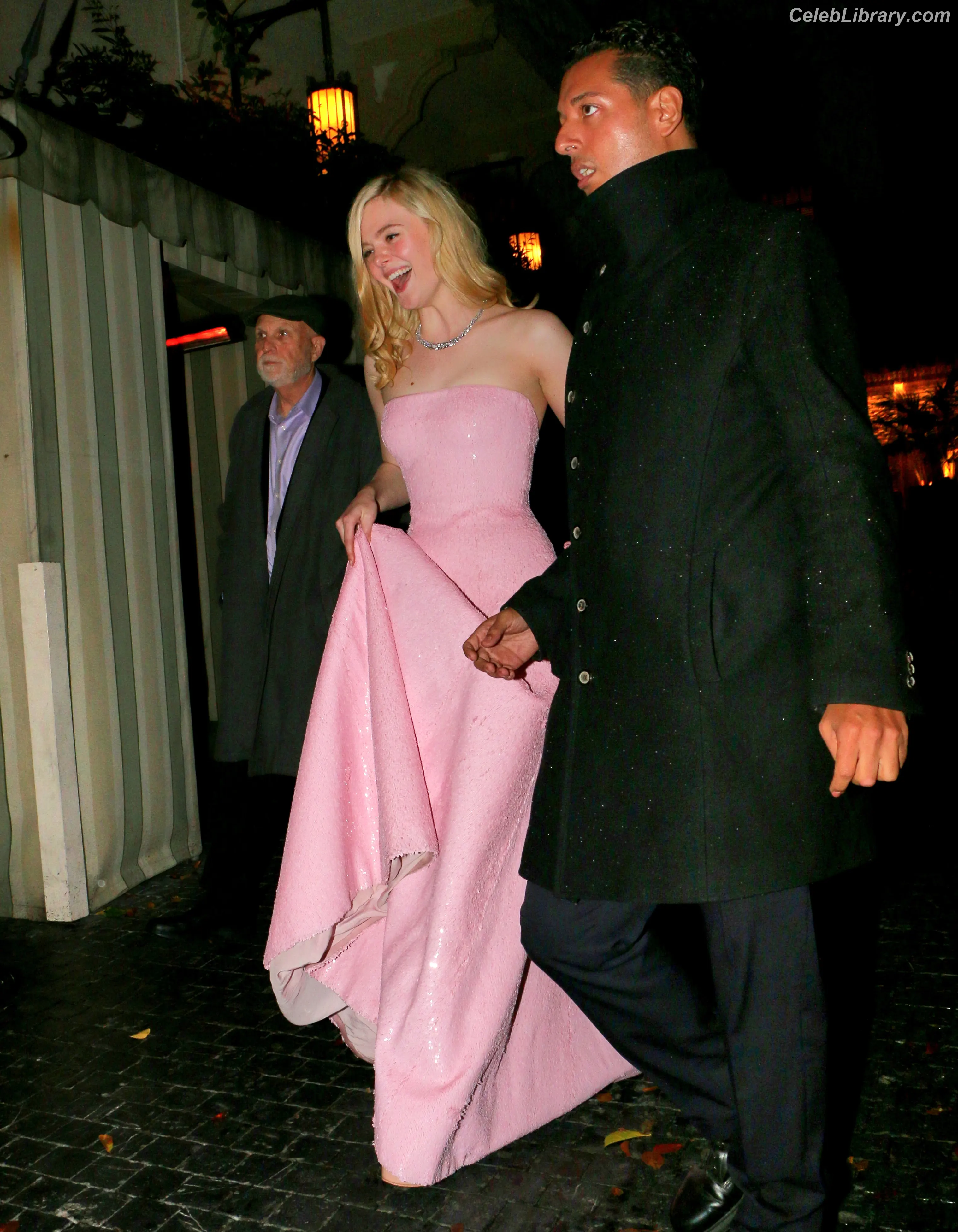 Elle Fanning photo 7 of 4118