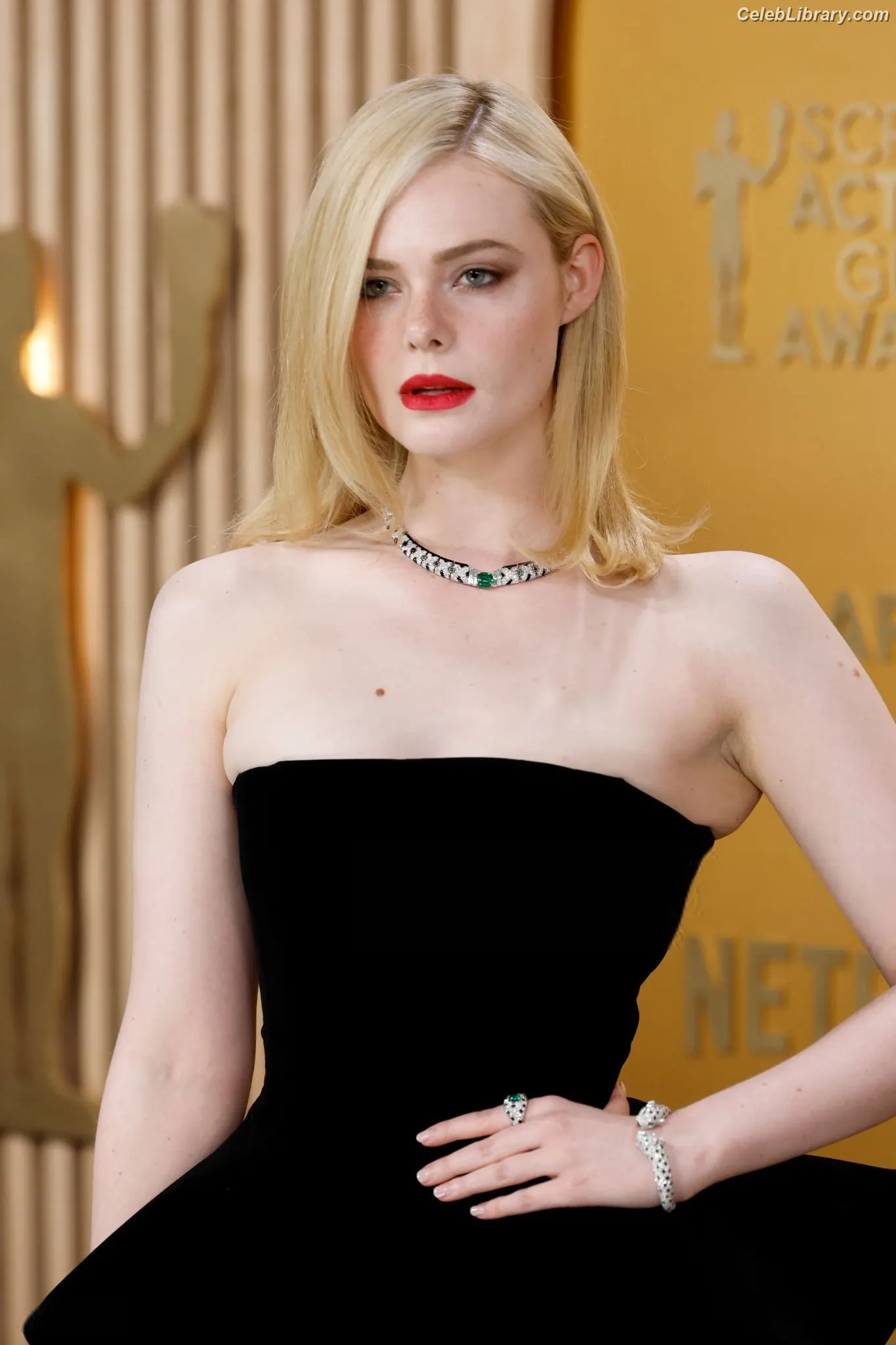 Elle Fanning photo 3 of 4118