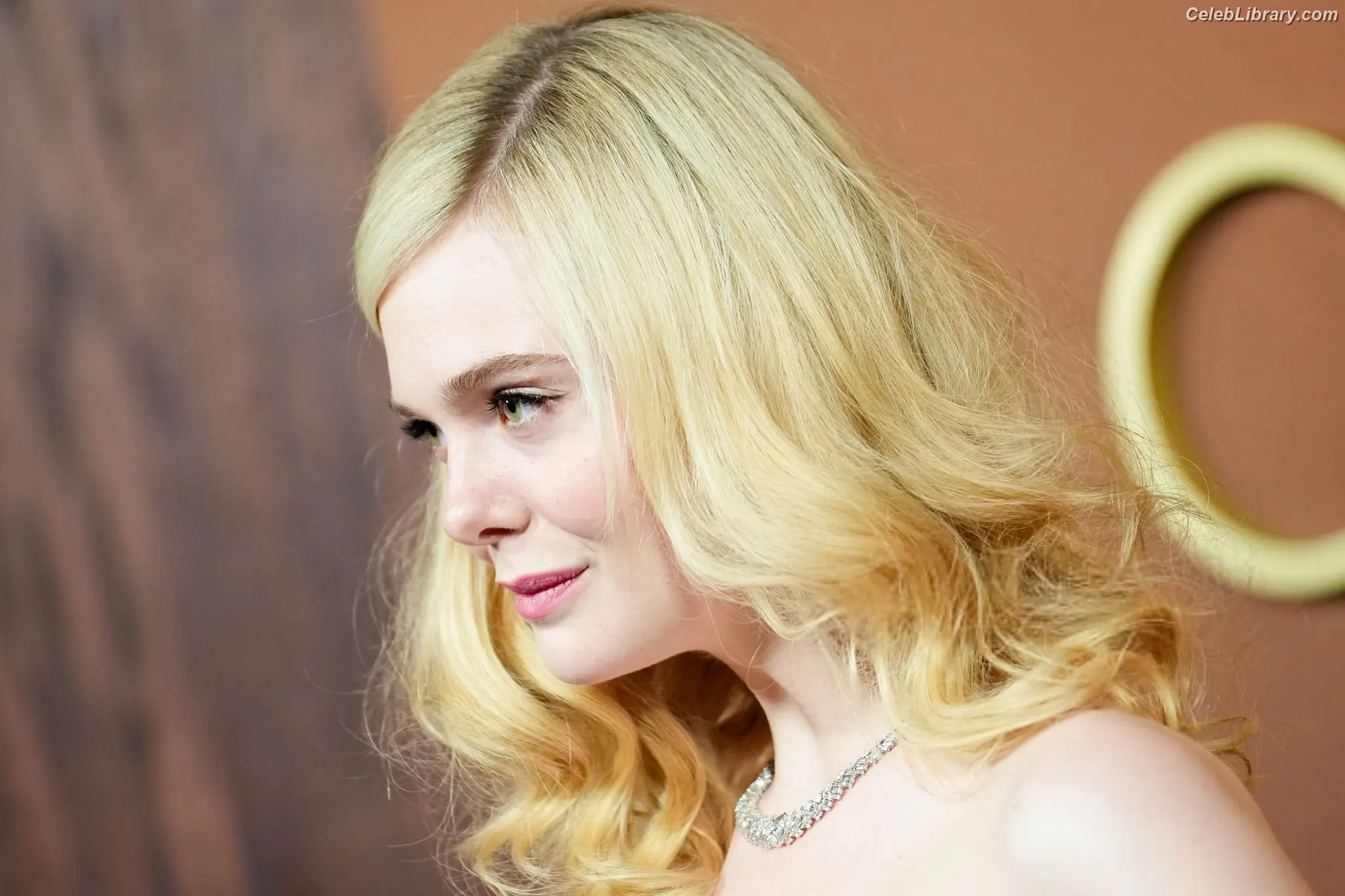Elle Fanning photo 12 of 4118