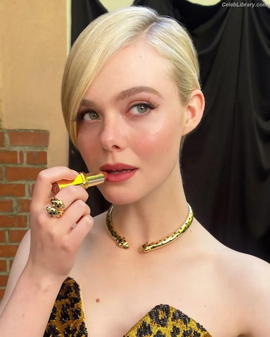 Elle Fanning photo 3 of 4118