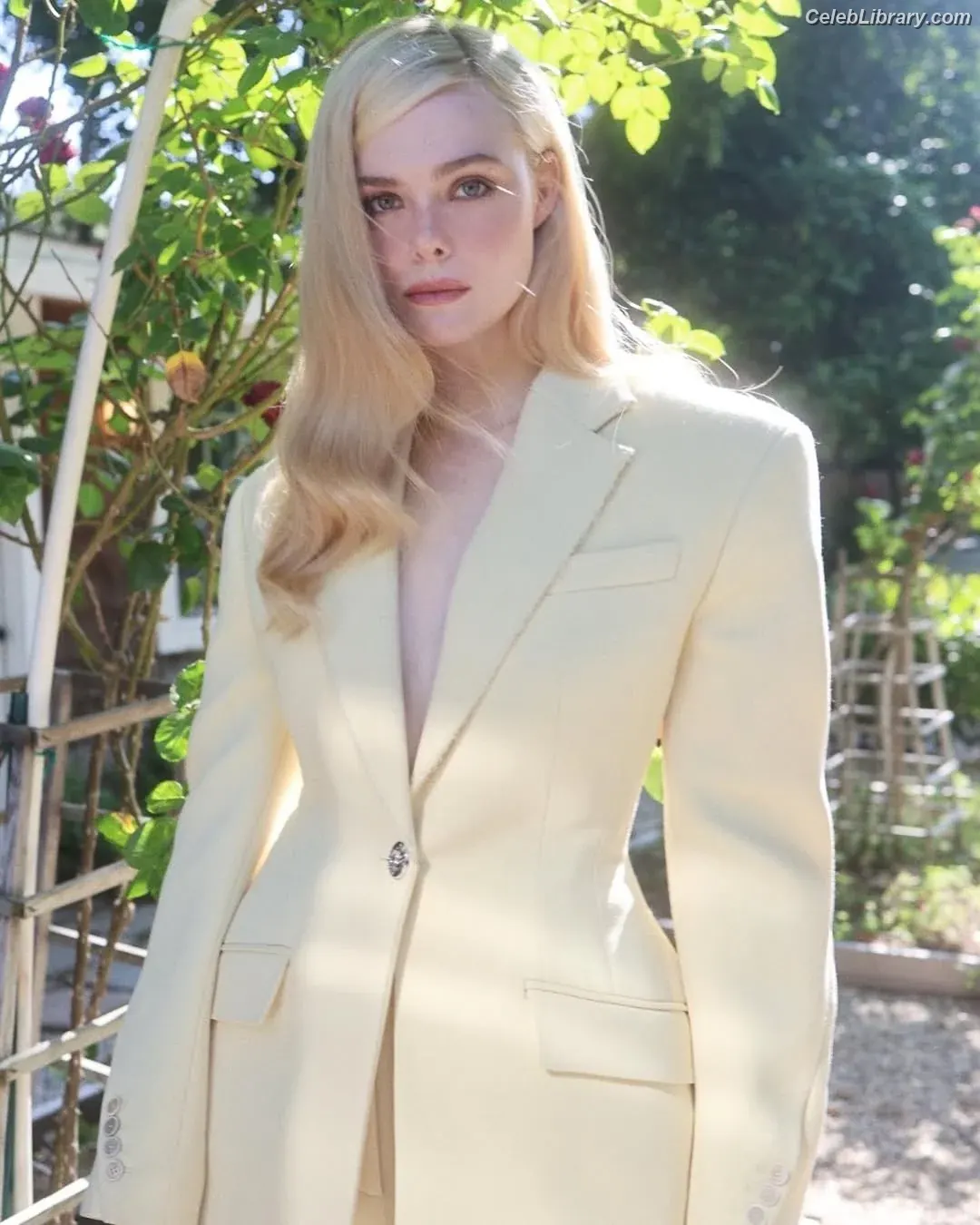 Elle Fanning photo 24 of 4118