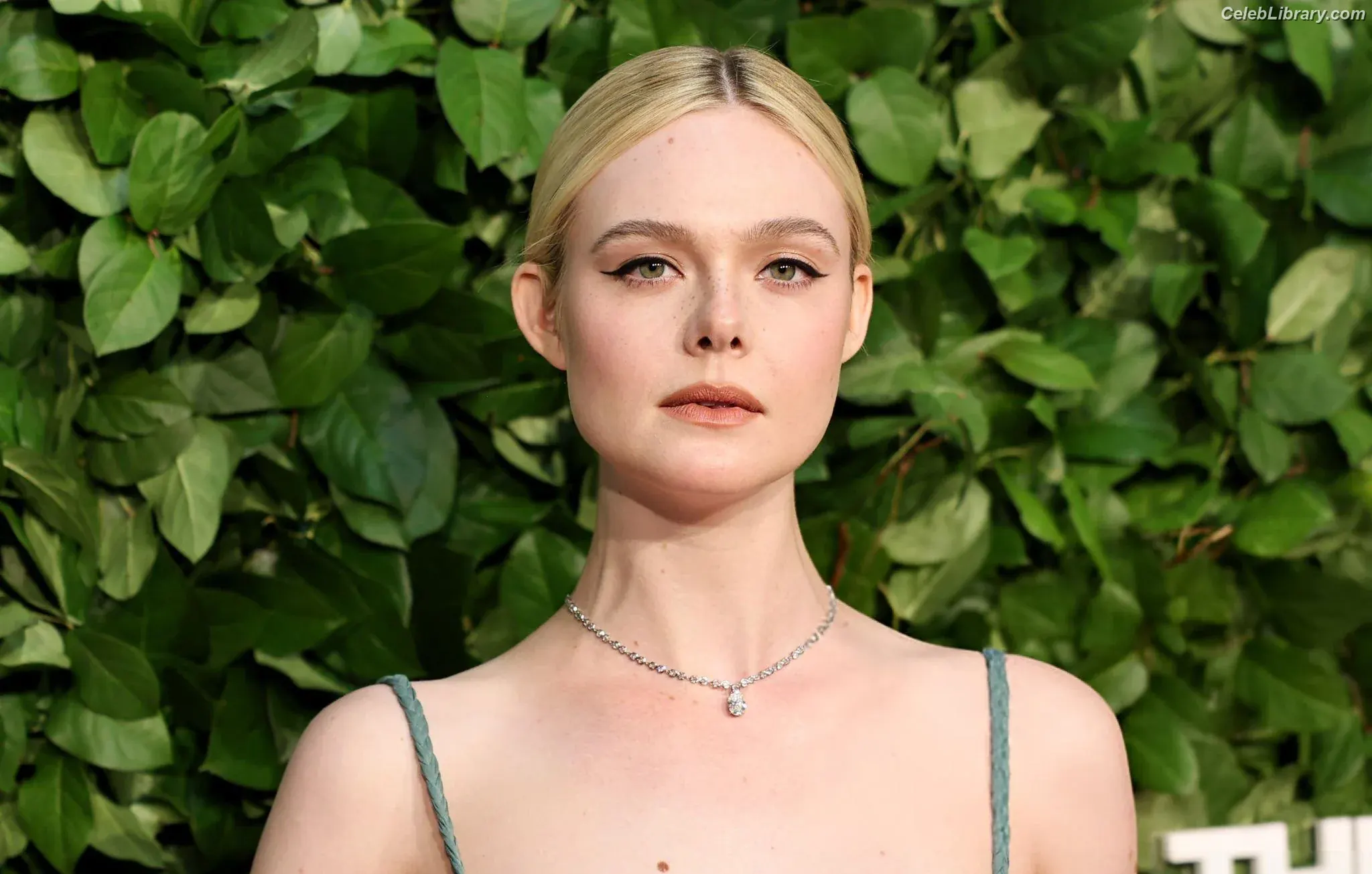 Elle Fanning photo 1 of 4118