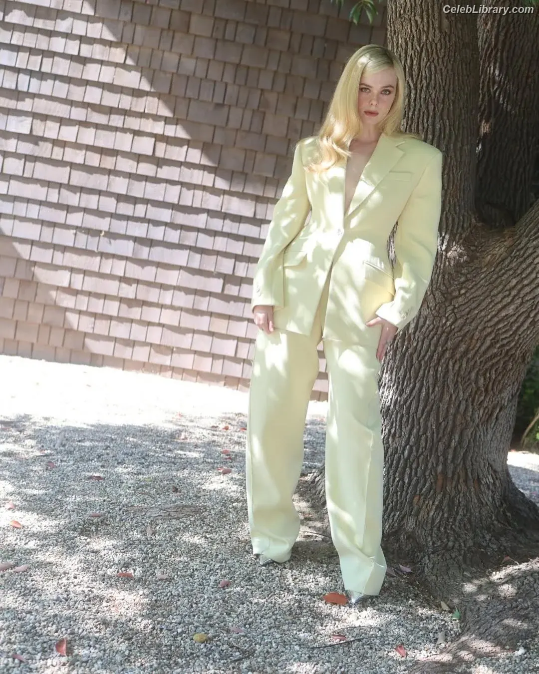 Elle Fanning photo 3 of 4118