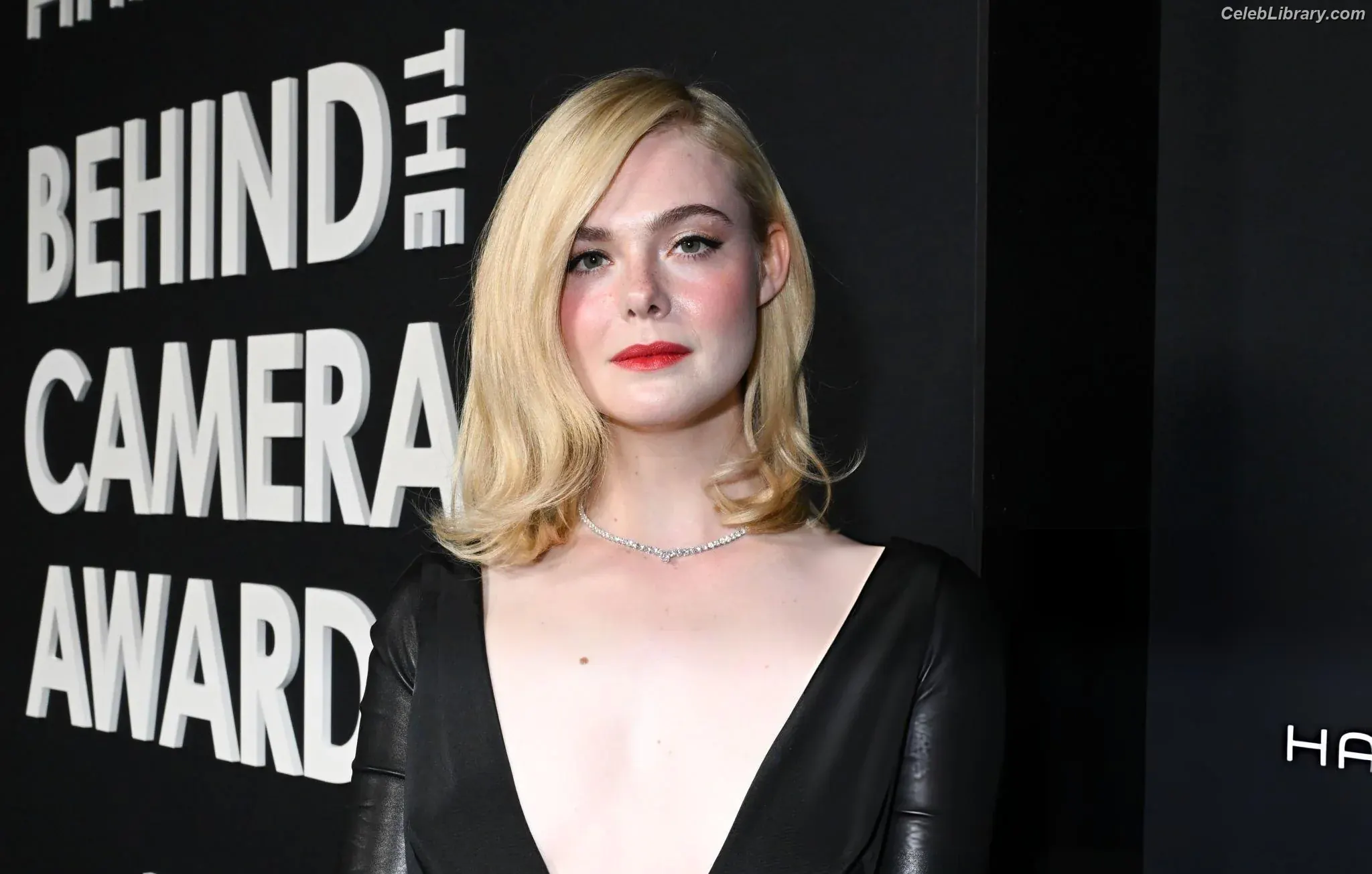 Elle Fanning photo 7 of 4118