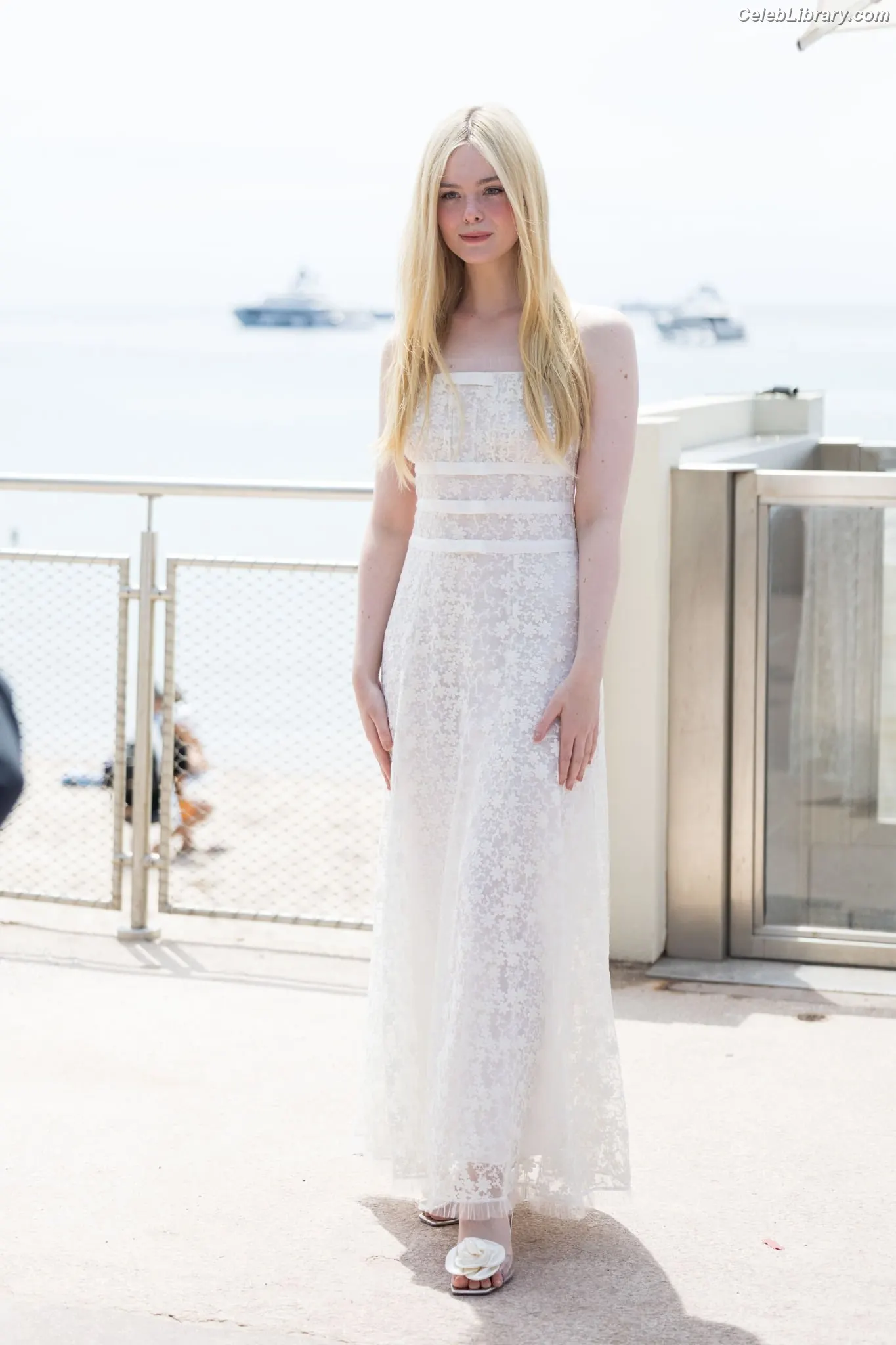 Elle Fanning photo 23 of 4118