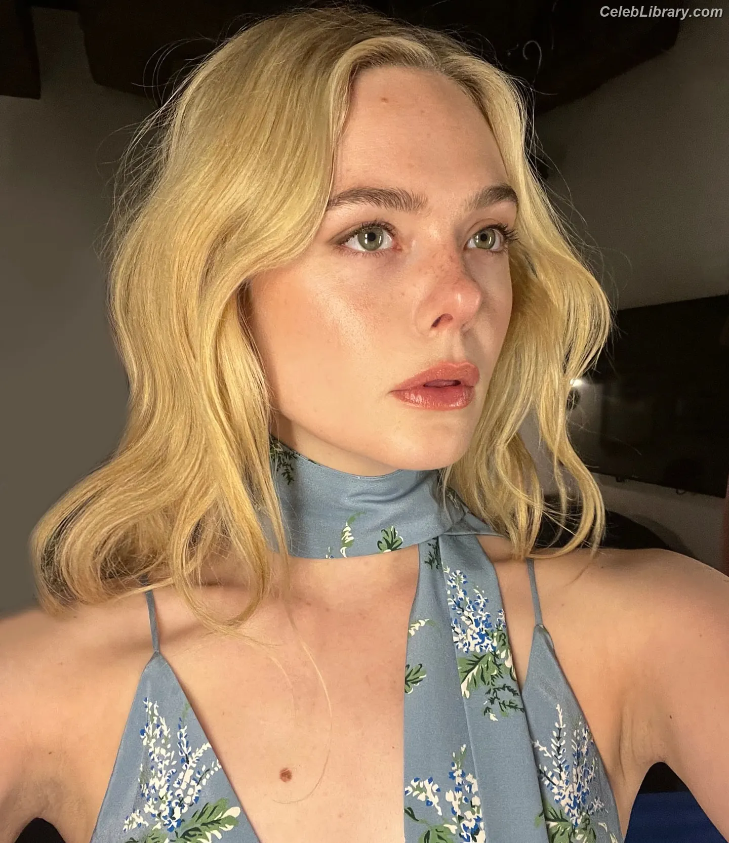 Elle Fanning photo 12 of 4118