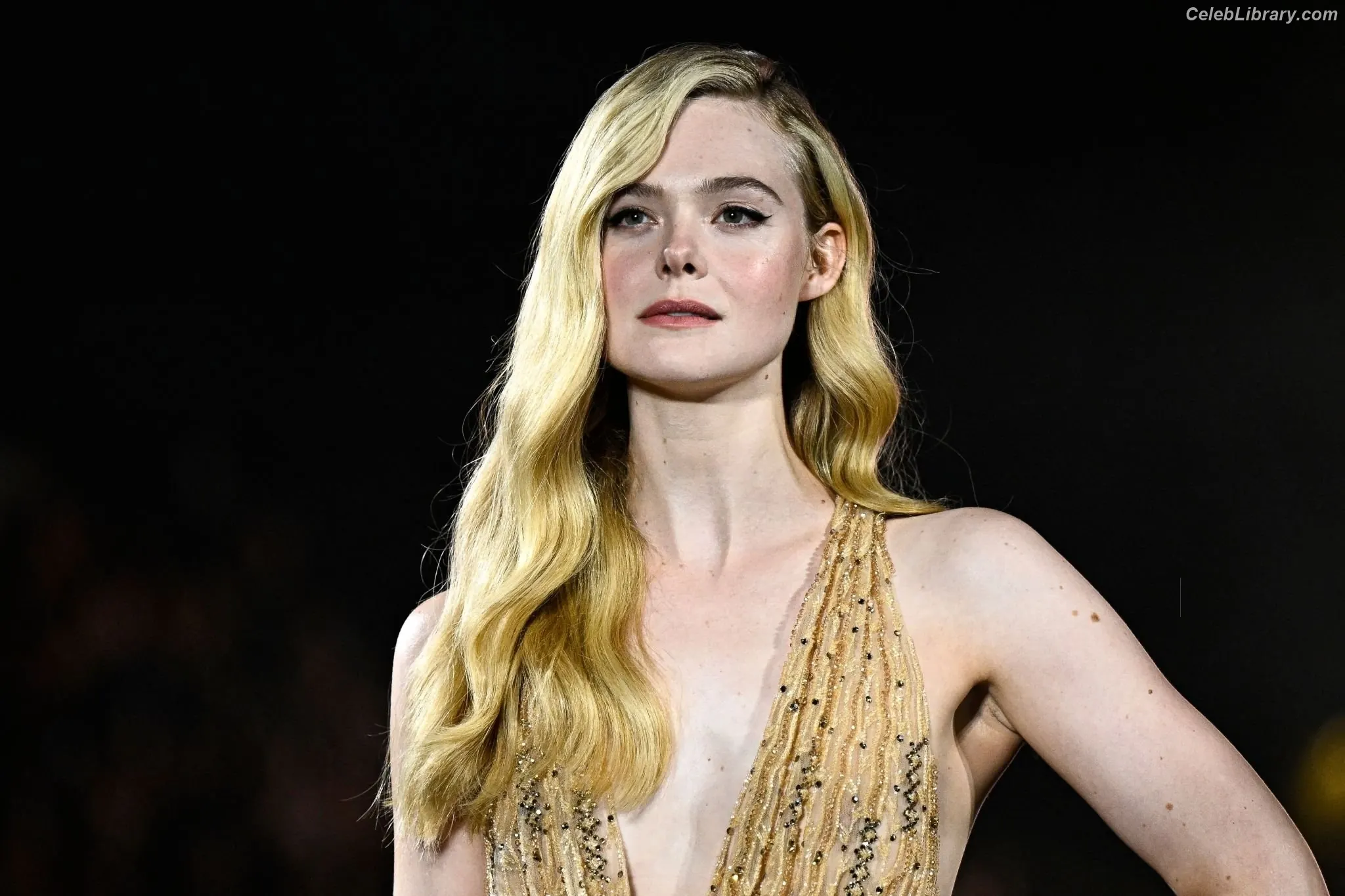 Elle Fanning photo 12 of 4118