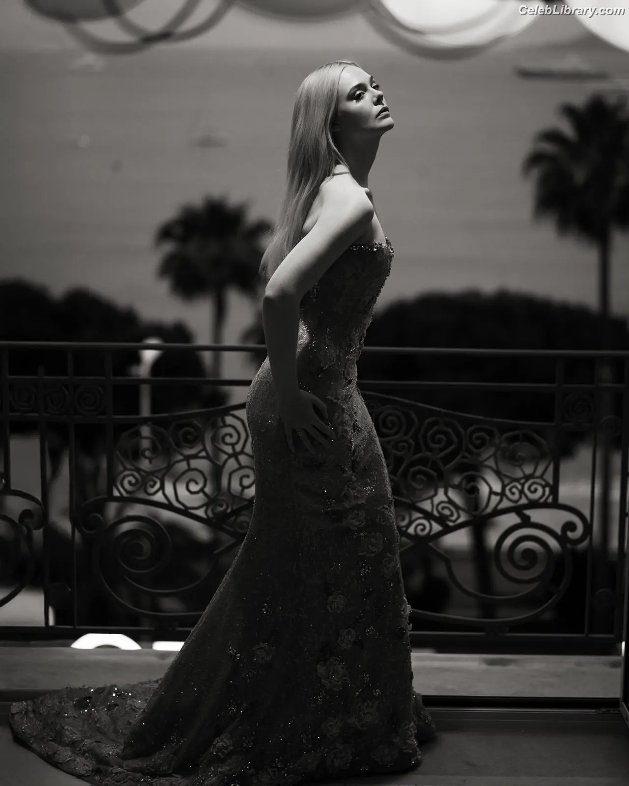 Elle Fanning photo 1 of 4118