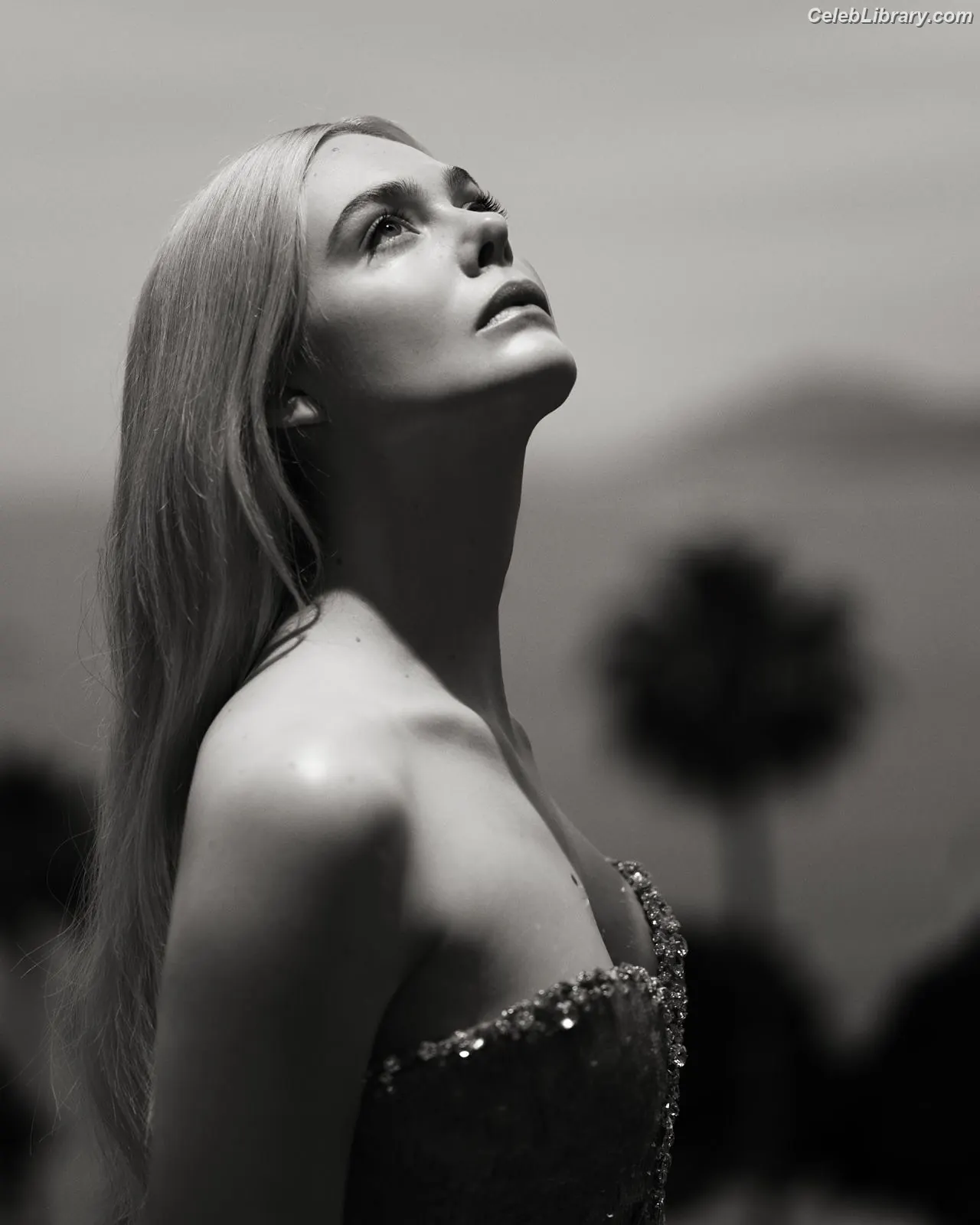 Elle Fanning photo 5 of 4118