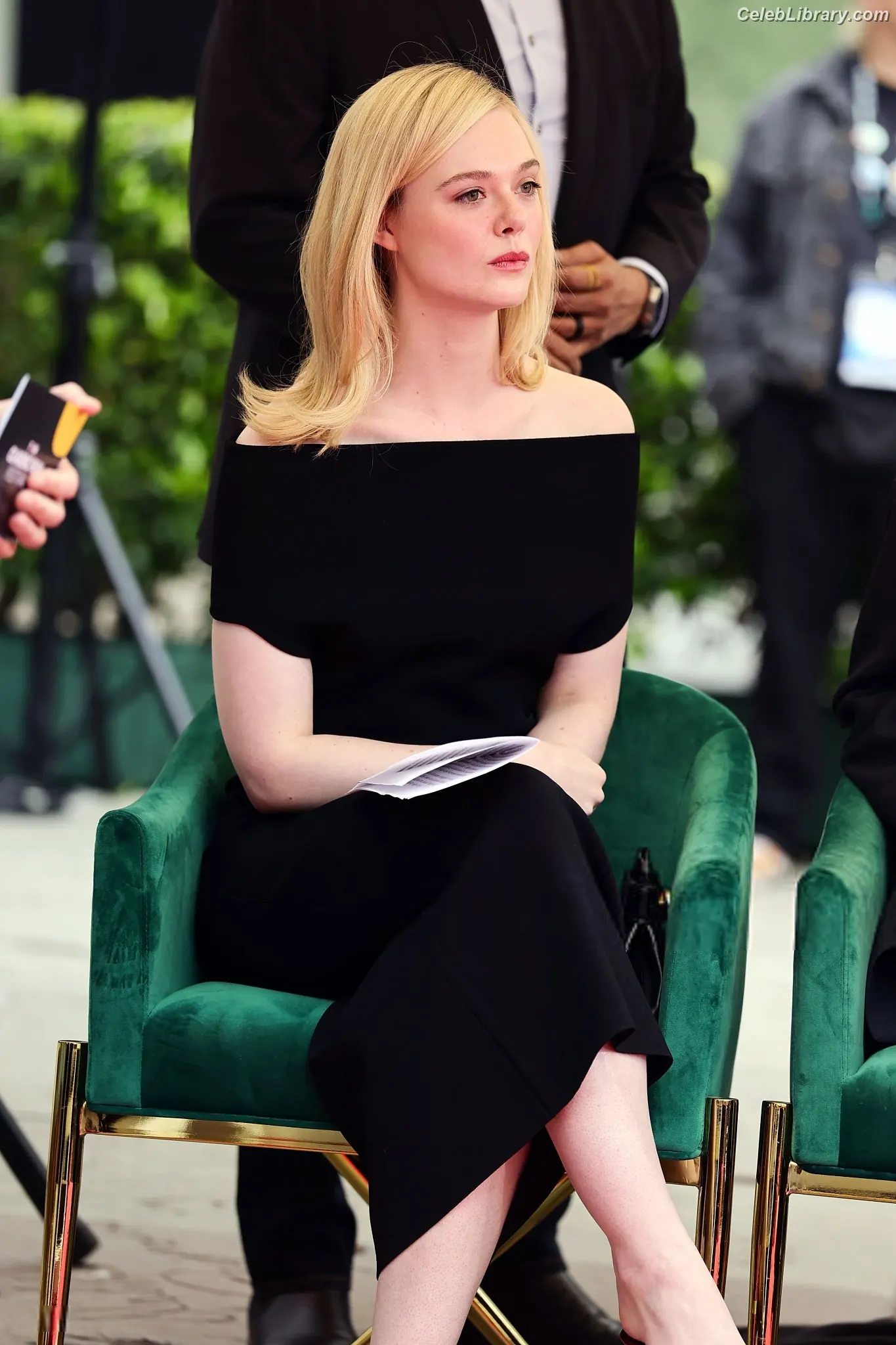 Elle Fanning photo 3 of 4118