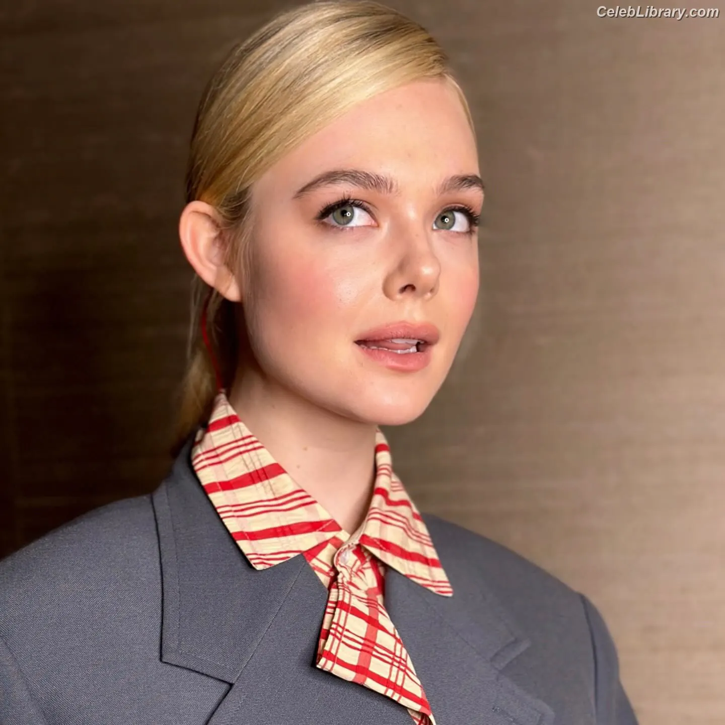 Elle Fanning photo 12 of 4118