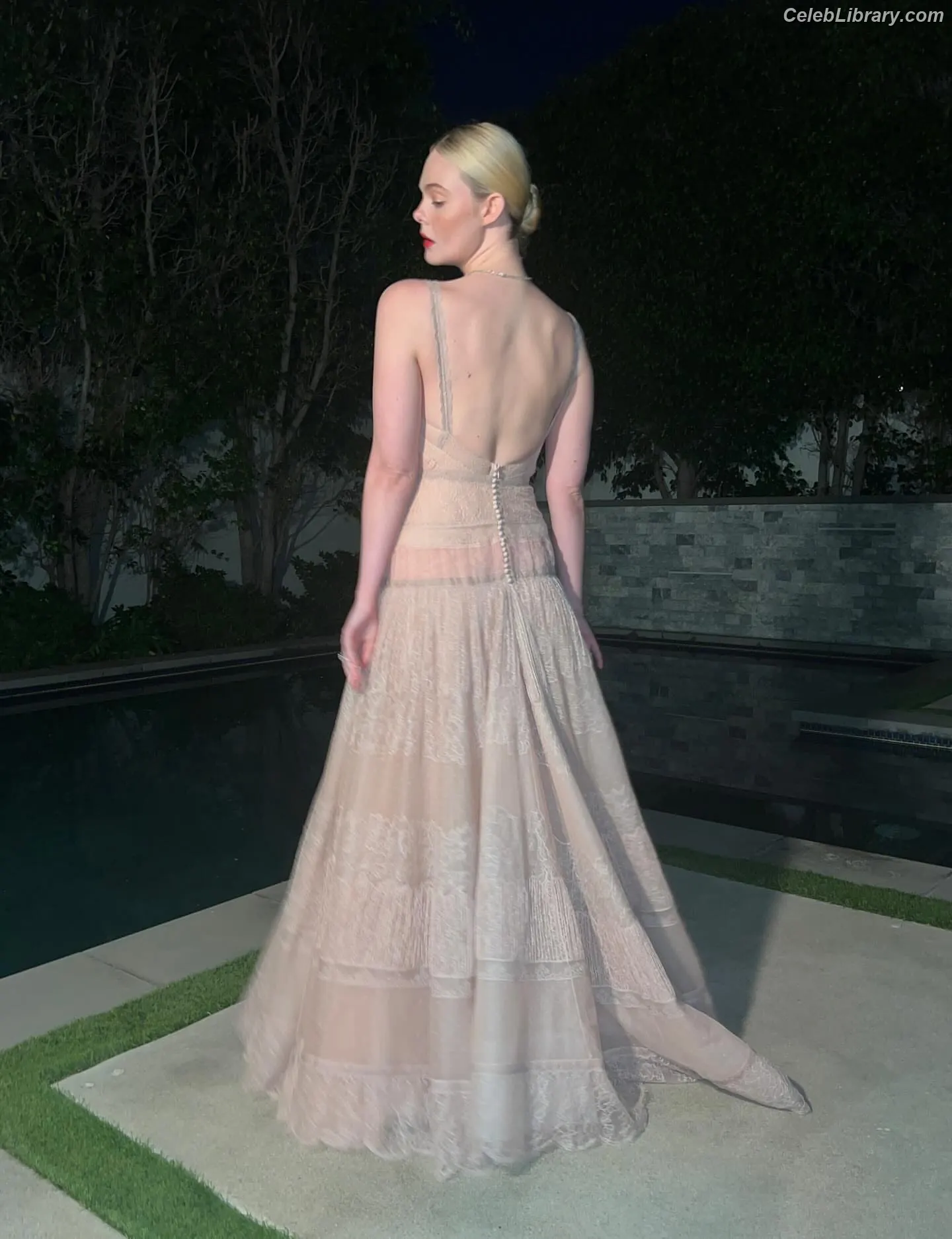 Elle Fanning photo 17 of 4118