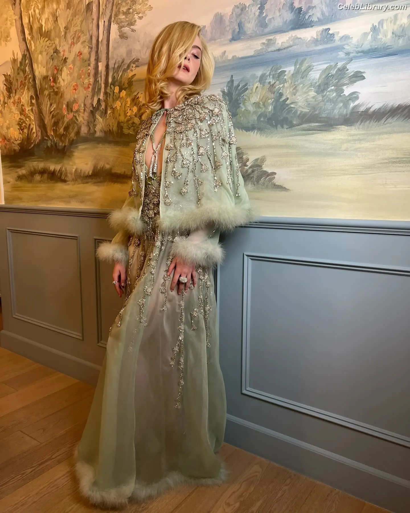 Elle Fanning photo 12 of 4118