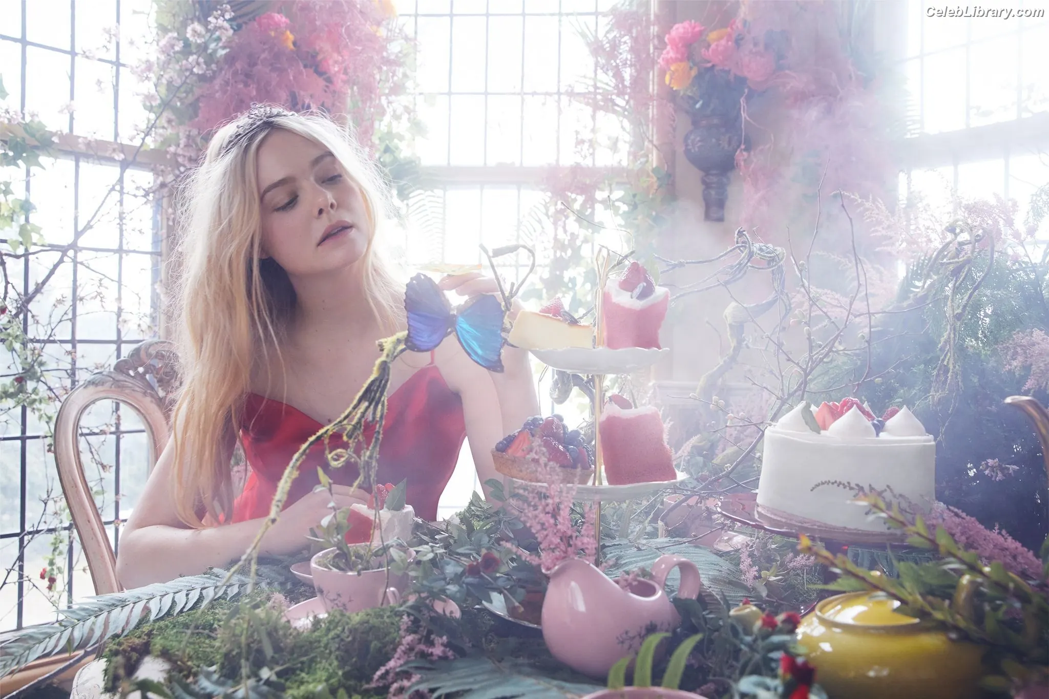Elle Fanning photo 1 of 4118