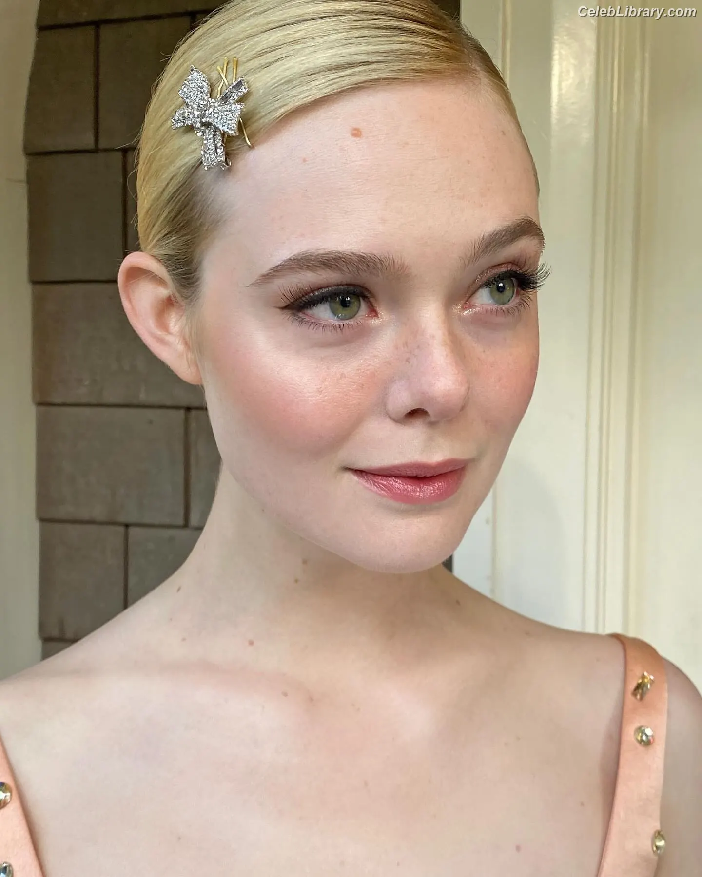 Elle Fanning photo 13 of 4118