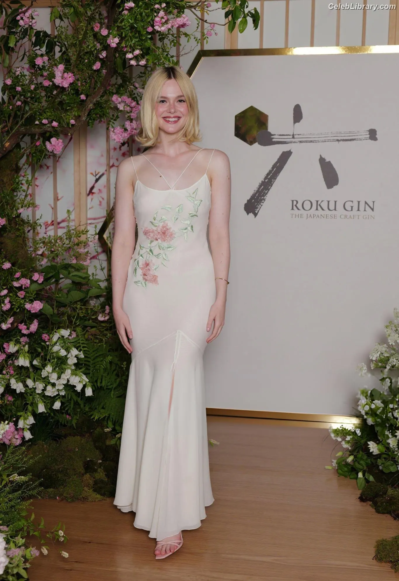 Elle Fanning photo 8 of 4118