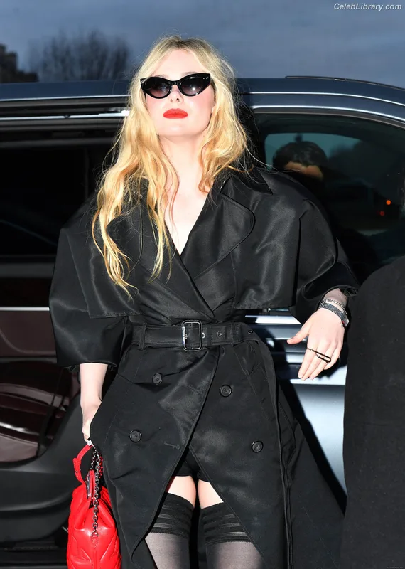Elle Fanning photo 12 of 4114