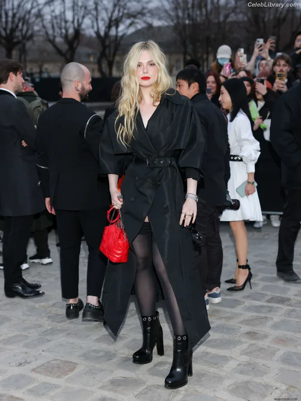 Elle Fanning photo 20 of 4114