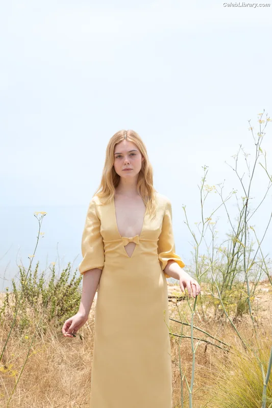 Elle Fanning photo 4 of 4114